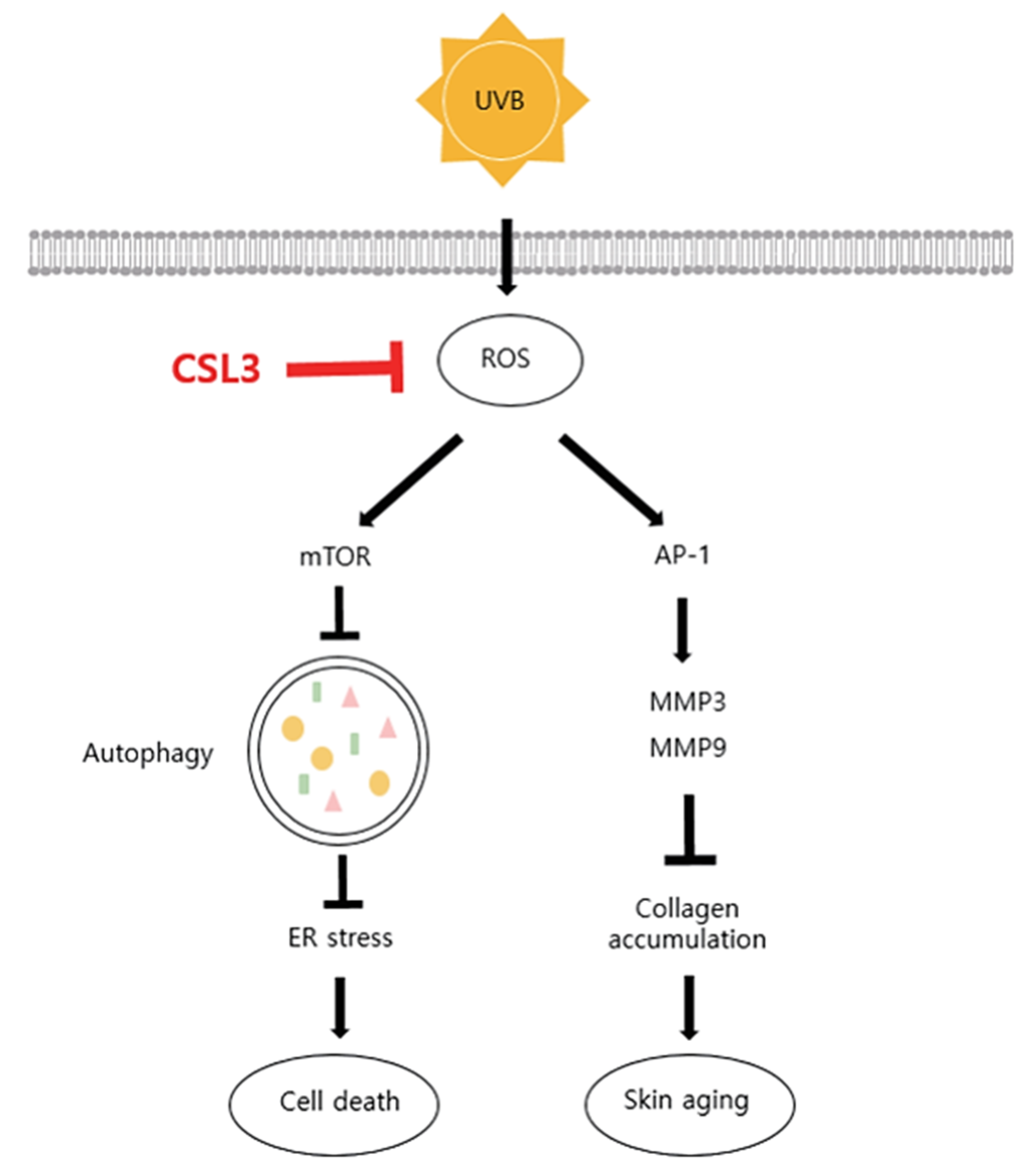Molecules 28 02842 g009 Molecules 28 02842 g009