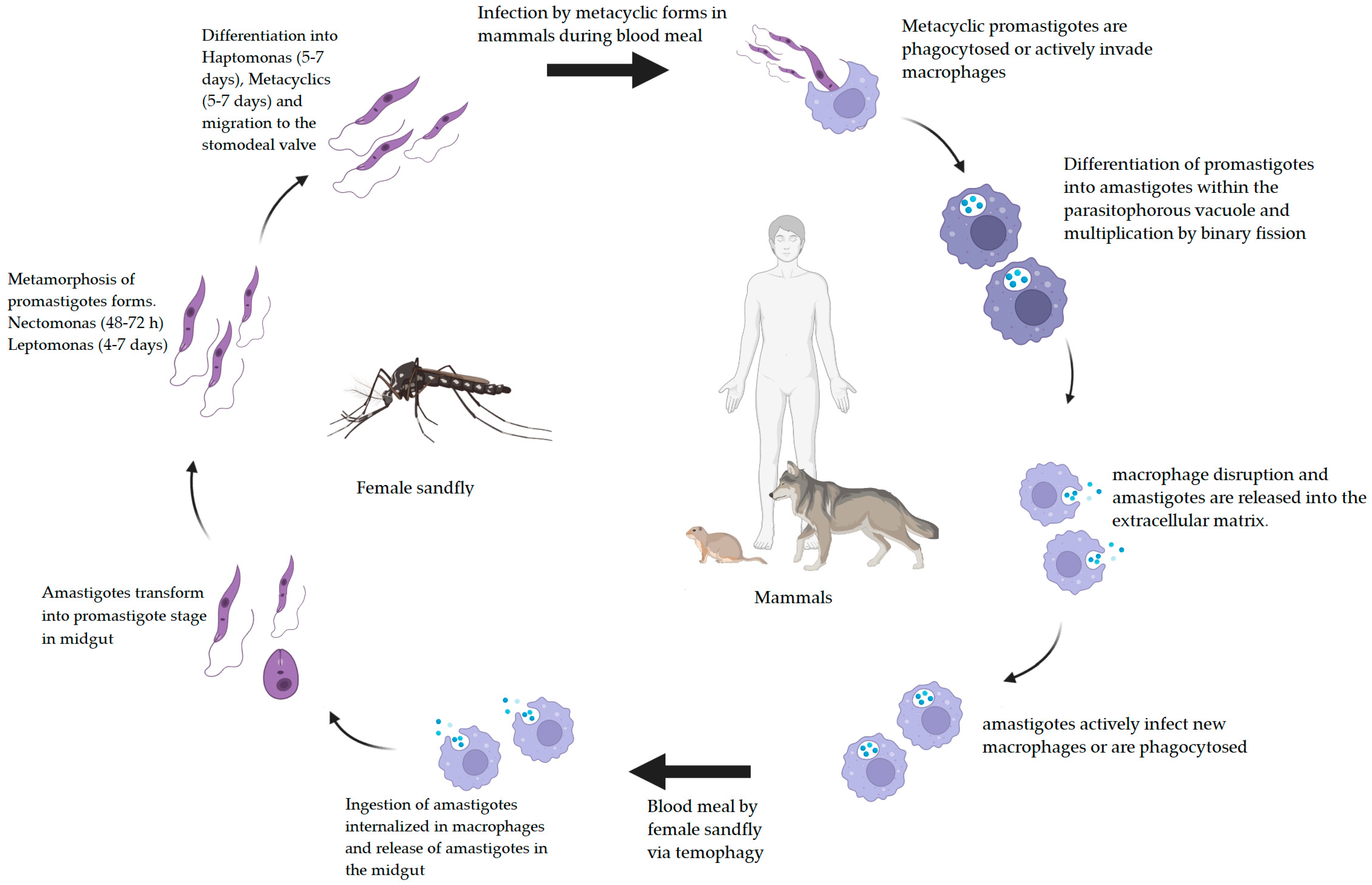 Molecules 28 02844 g001 Molecules 28 02844 g001
