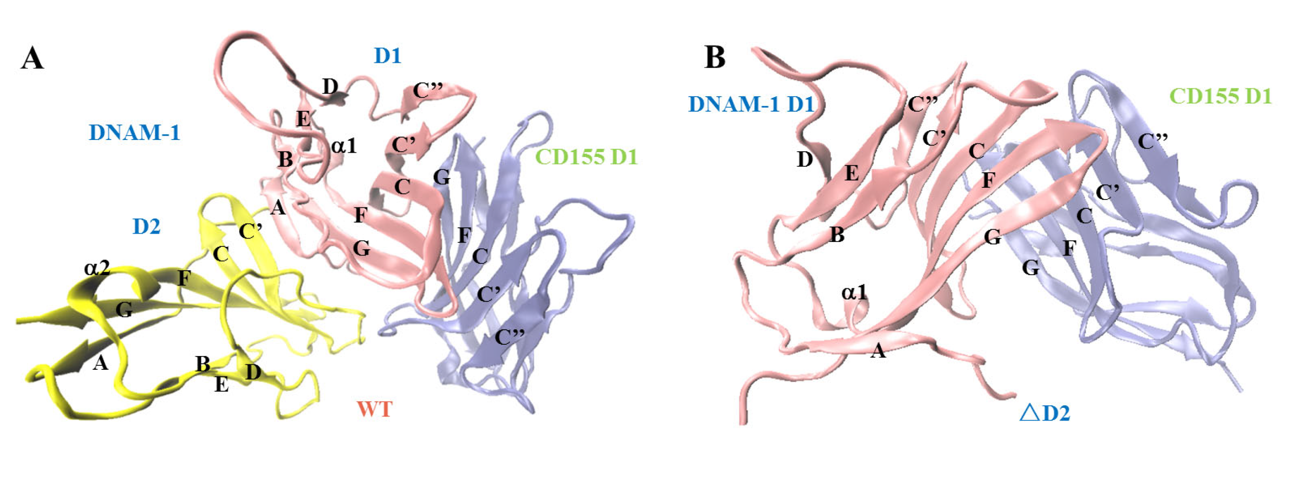 Molecules 28 02847 g001 Molecules 28 02847 g001