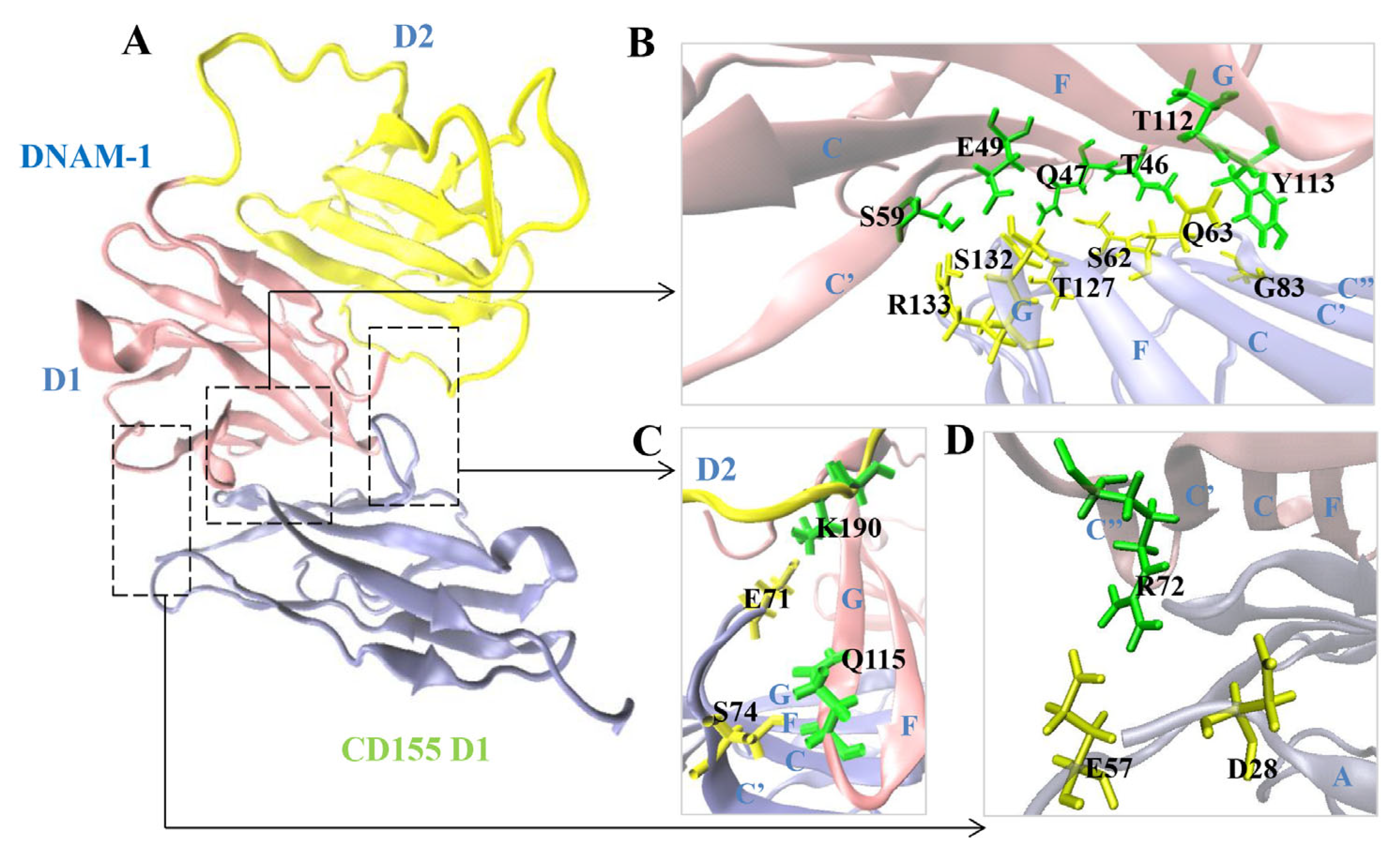 Molecules 28 02847 g003 Molecules 28 02847 g003