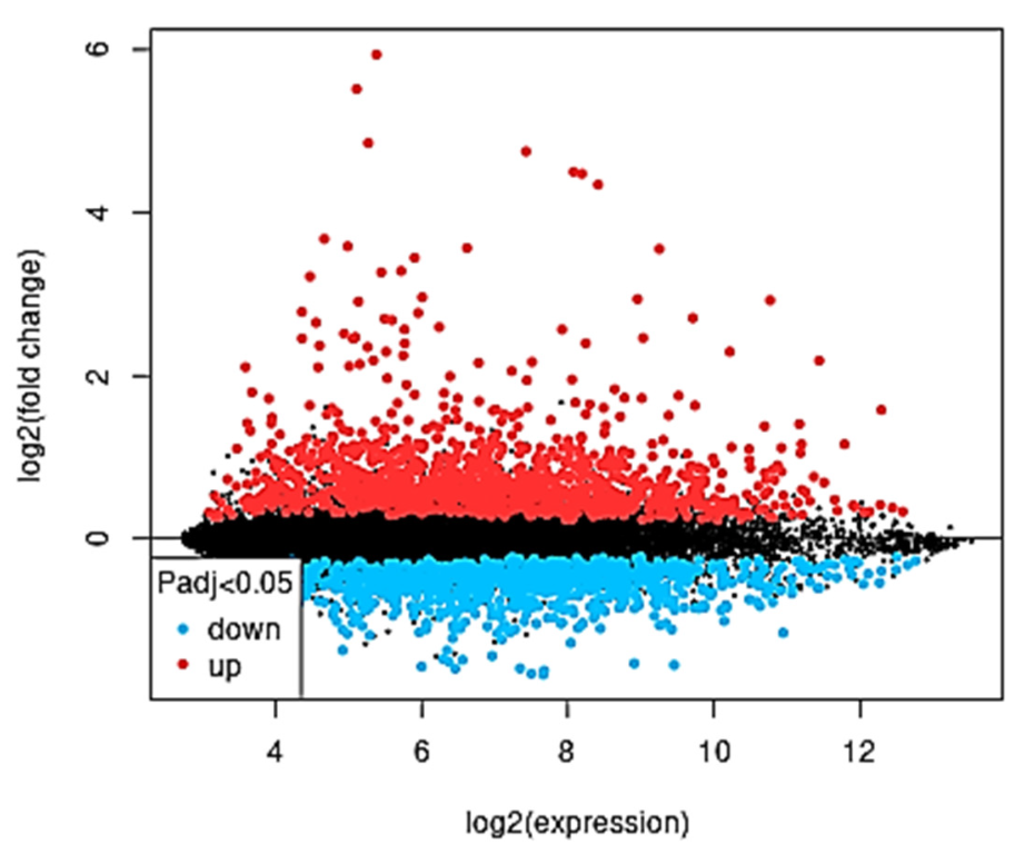 Molecules 28 02849 g003 Molecules 28 02849 g003