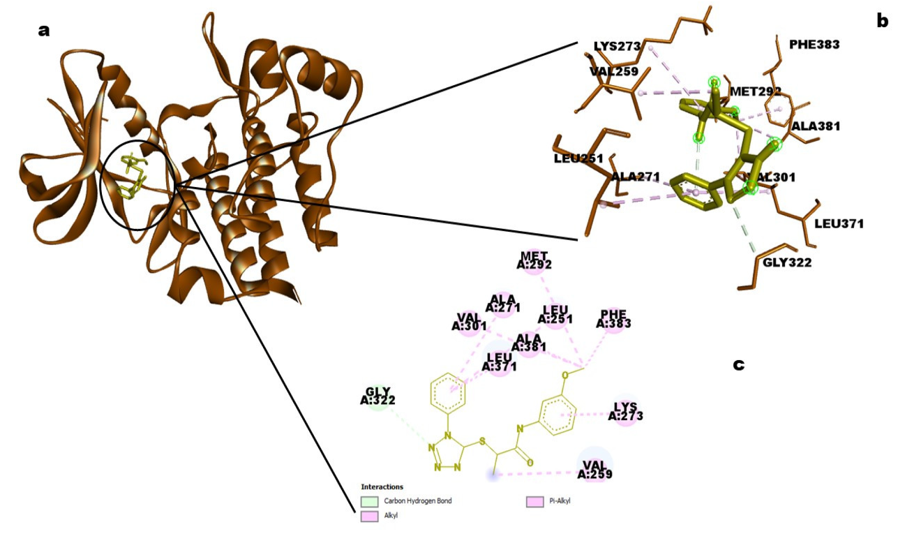 Molecules 28 02849 g010 Molecules 28 02849 g010