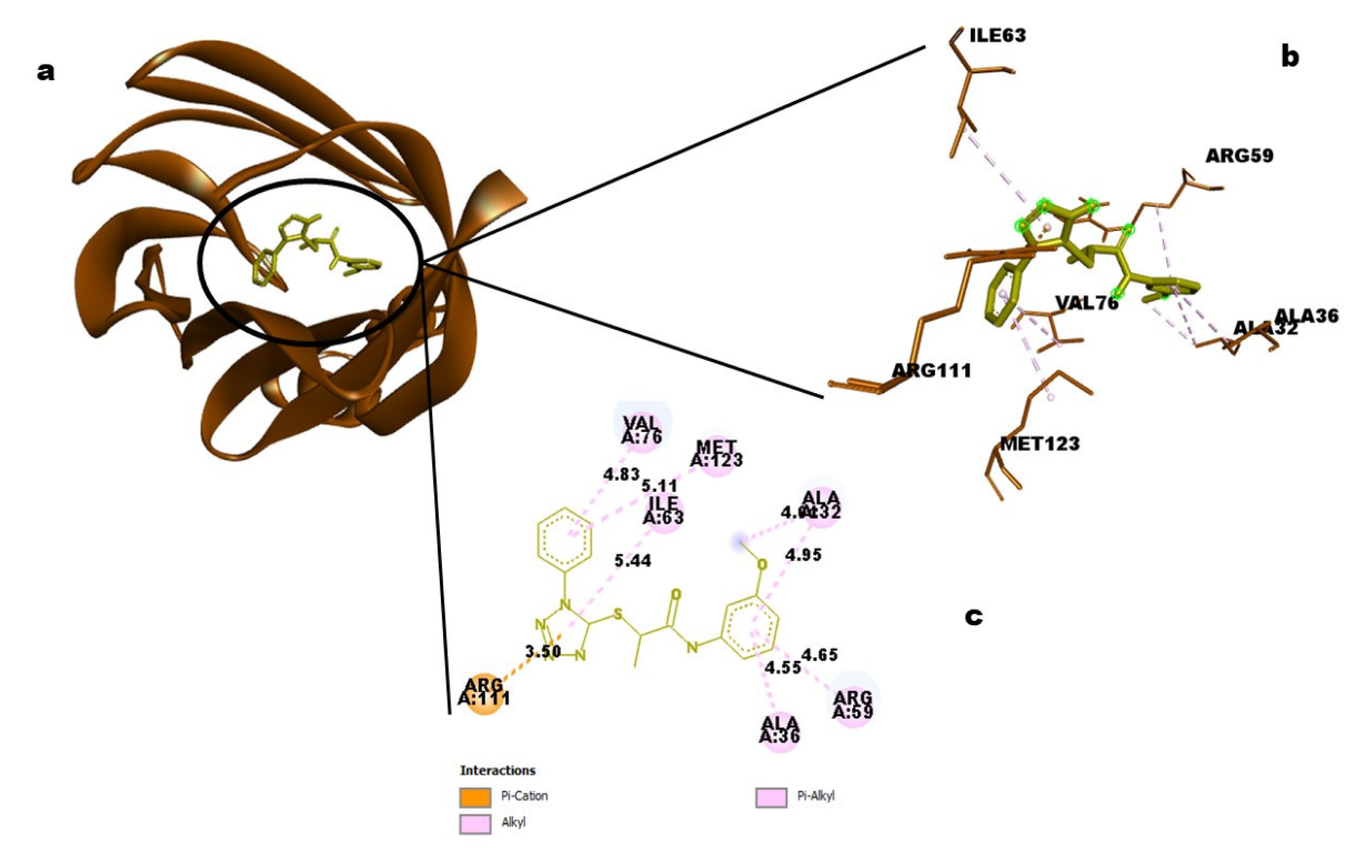 Molecules 28 02849 g011 Molecules 28 02849 g011