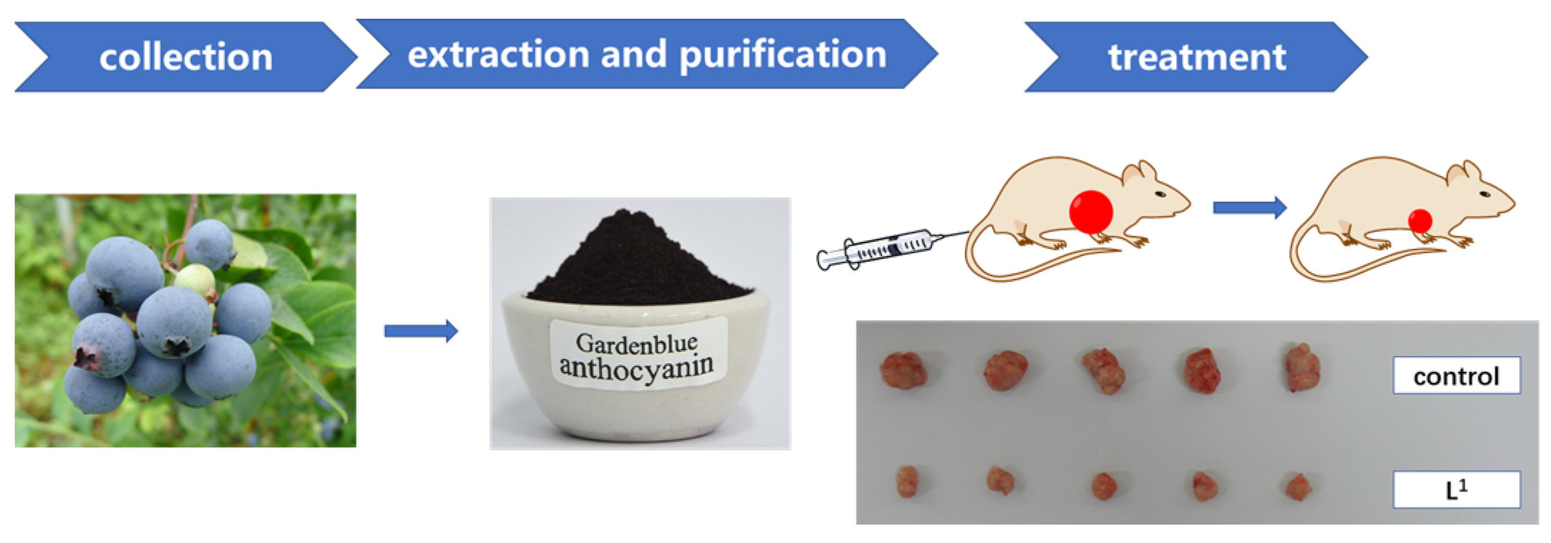 Molecules 28 02850 sch001