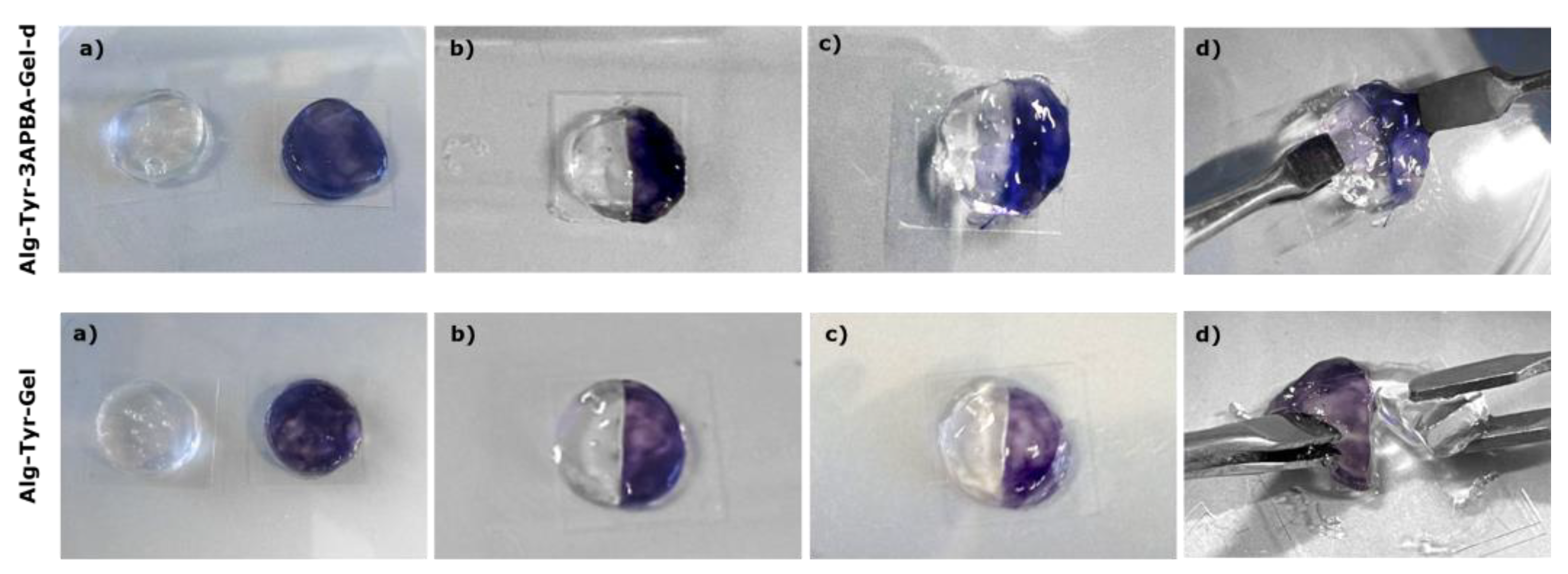 Molecules 28 02851 g004