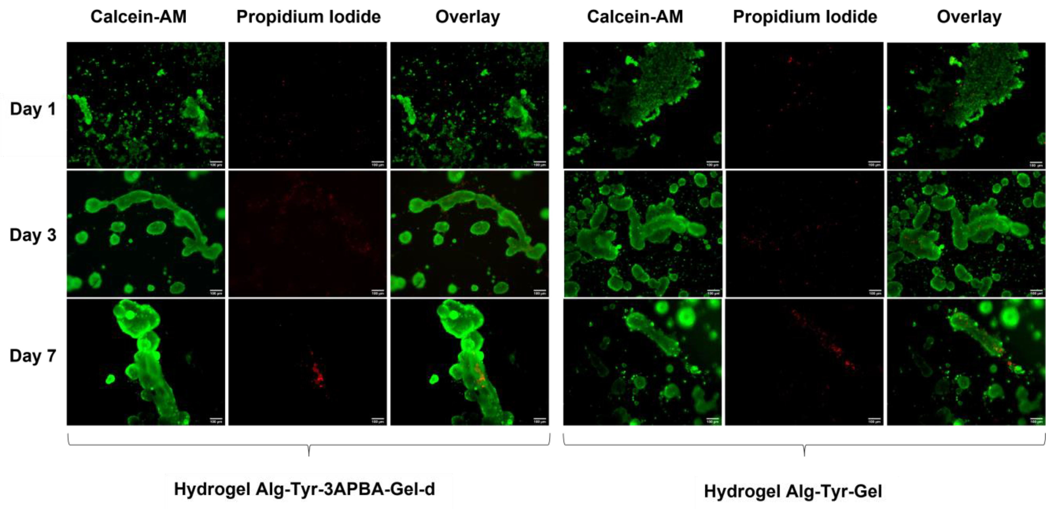Molecules 28 02851 g005