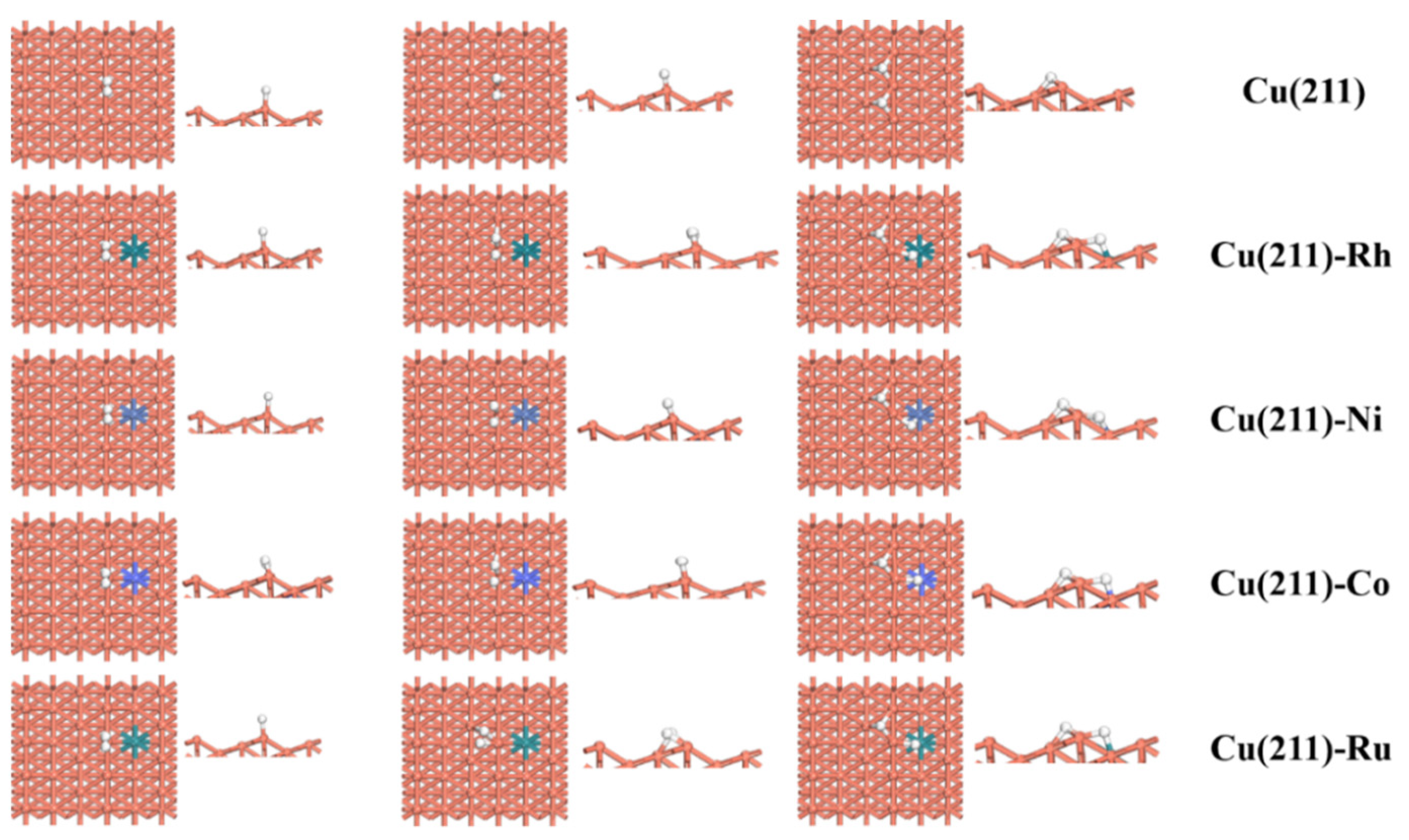 Molecules 28 02852 g002 Molecules 28 02852 g002