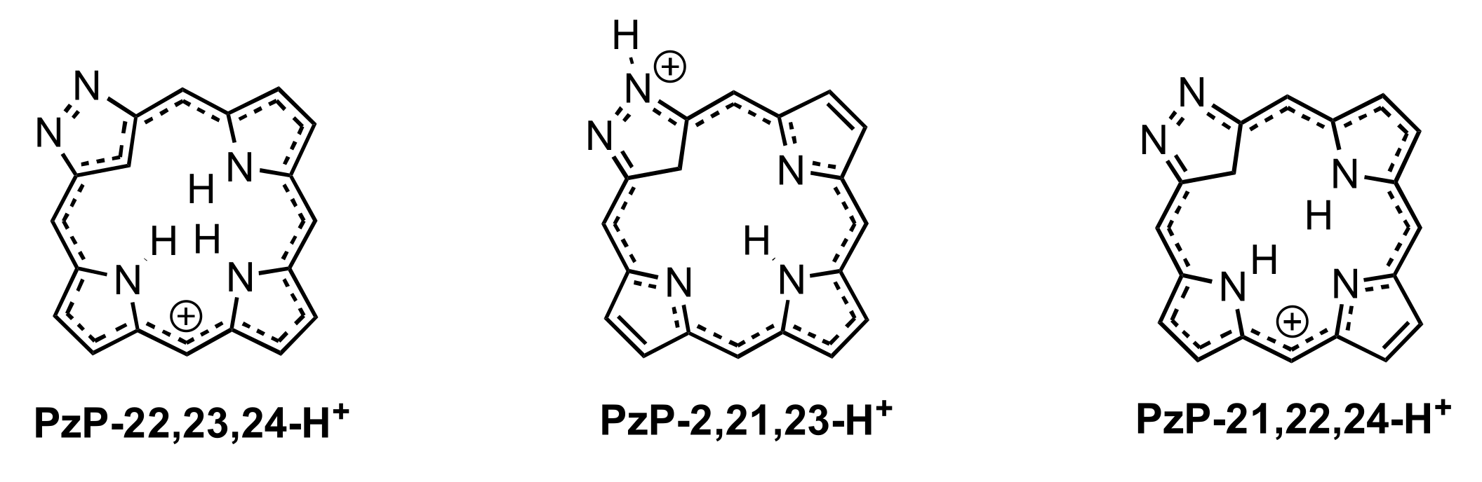 Molecules 28 02854 g008