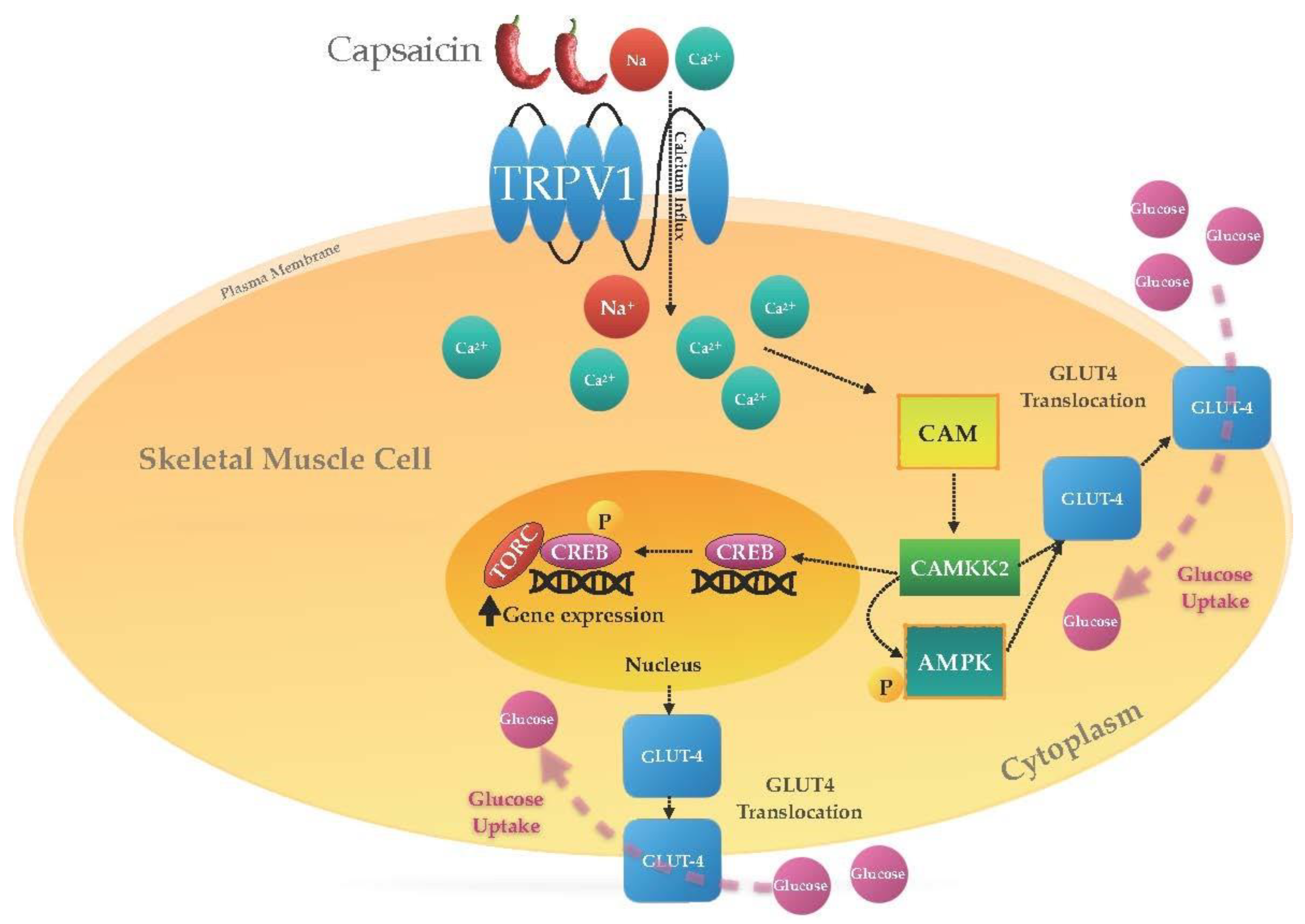 Molecules 28 02861 g003 Molecules 28 02861 g003