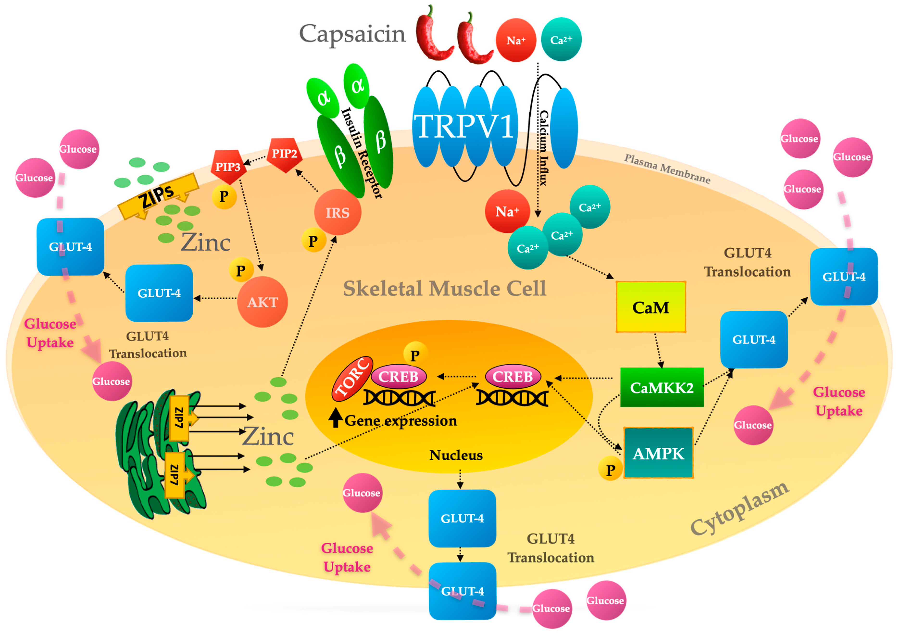 Molecules 28 02861 g004 Molecules 28 02861 g004