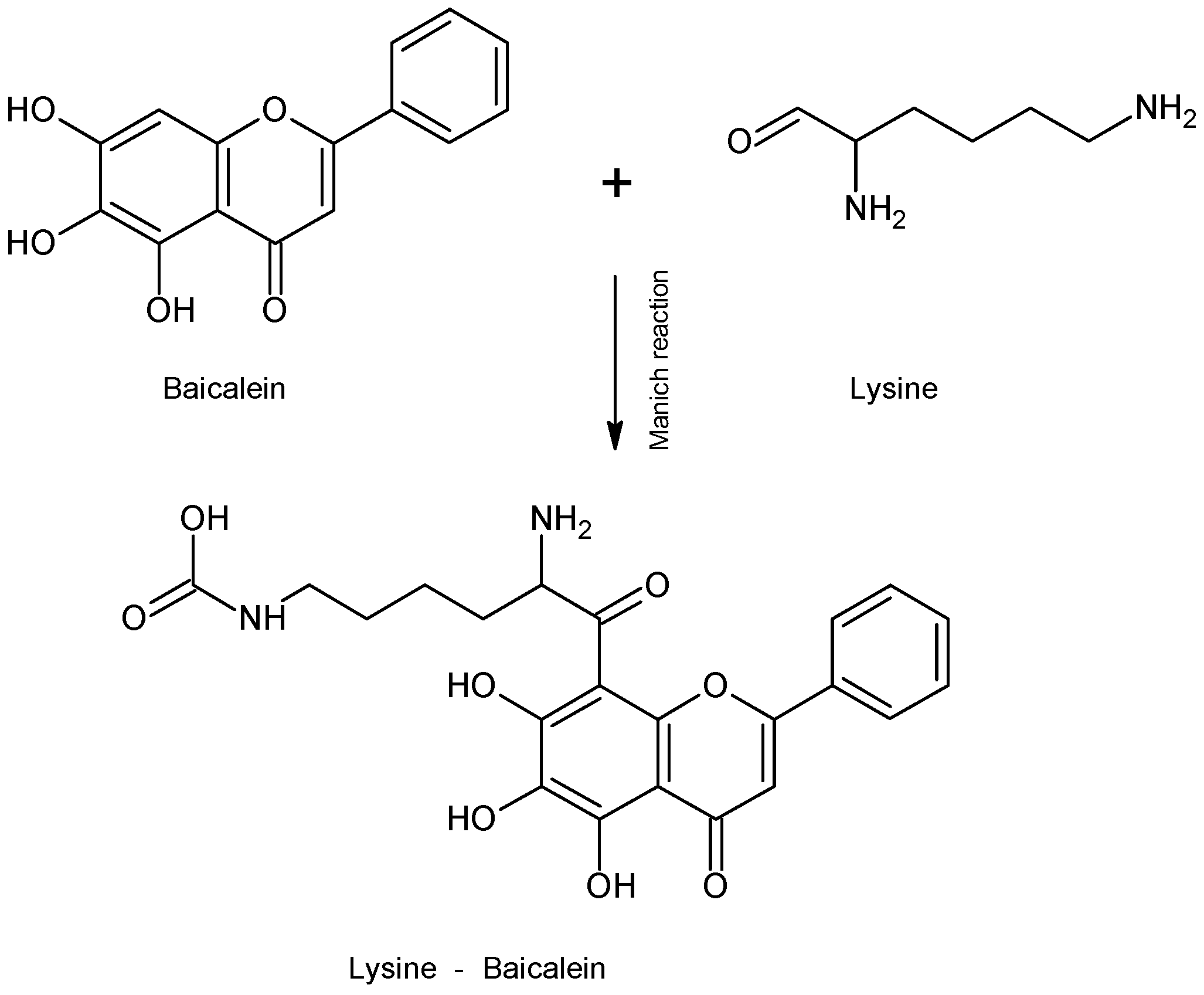Molecules 28 02864 g003