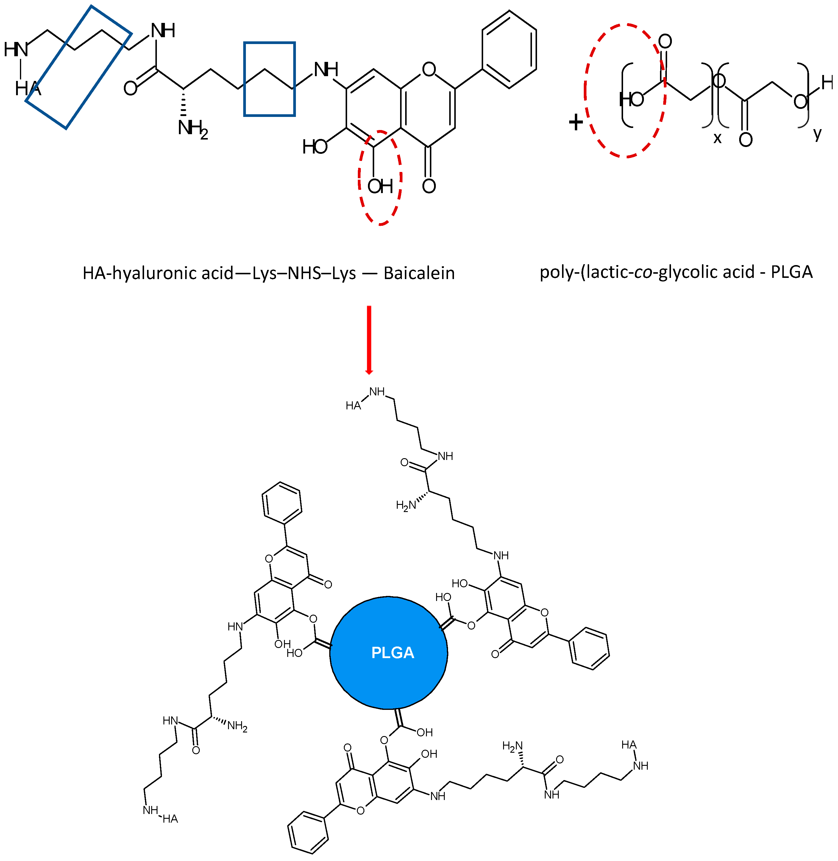 Molecules 28 02864 g004