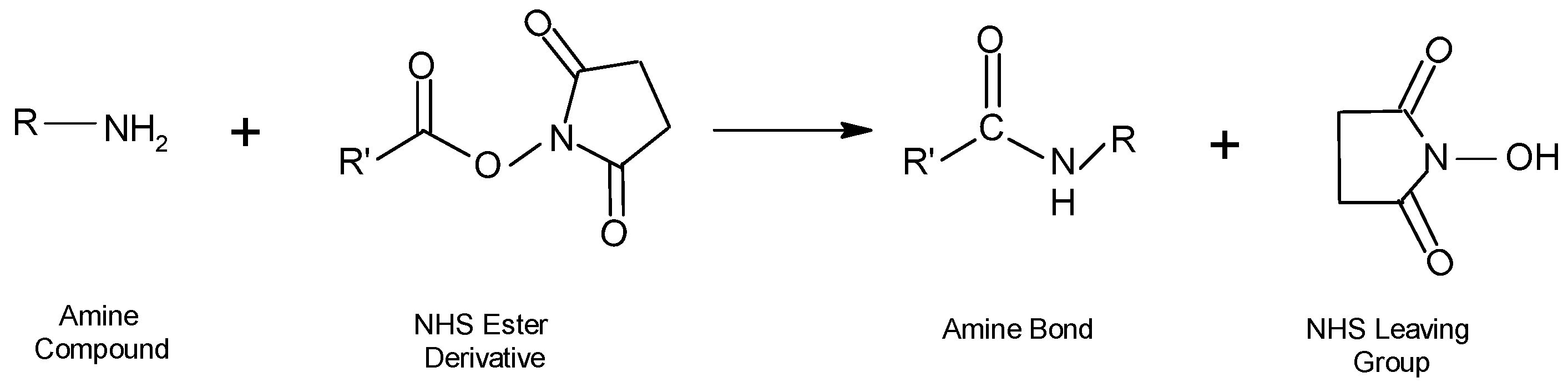 Molecules 28 02864 g015
