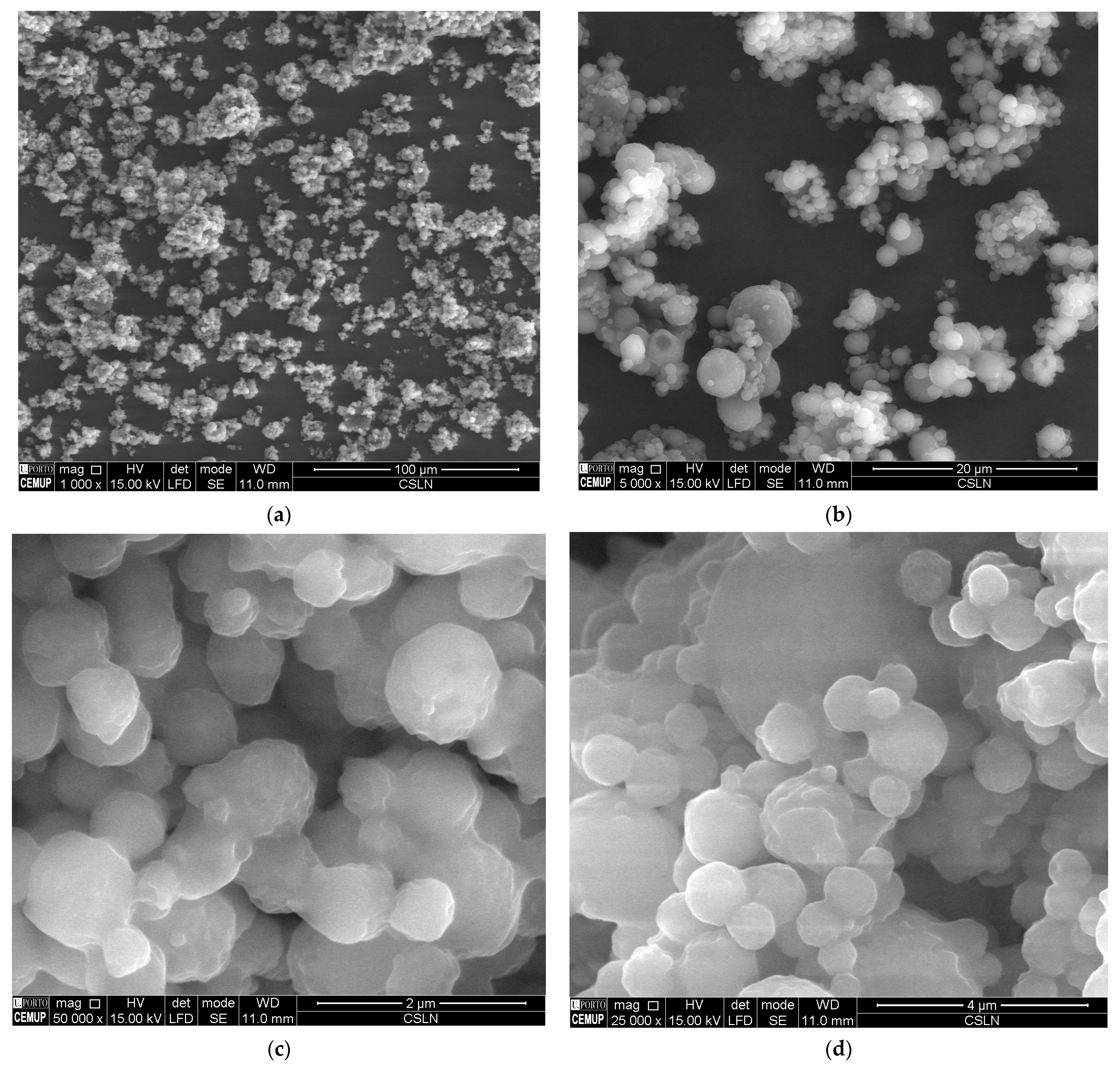 Molecules 28 02875 g007