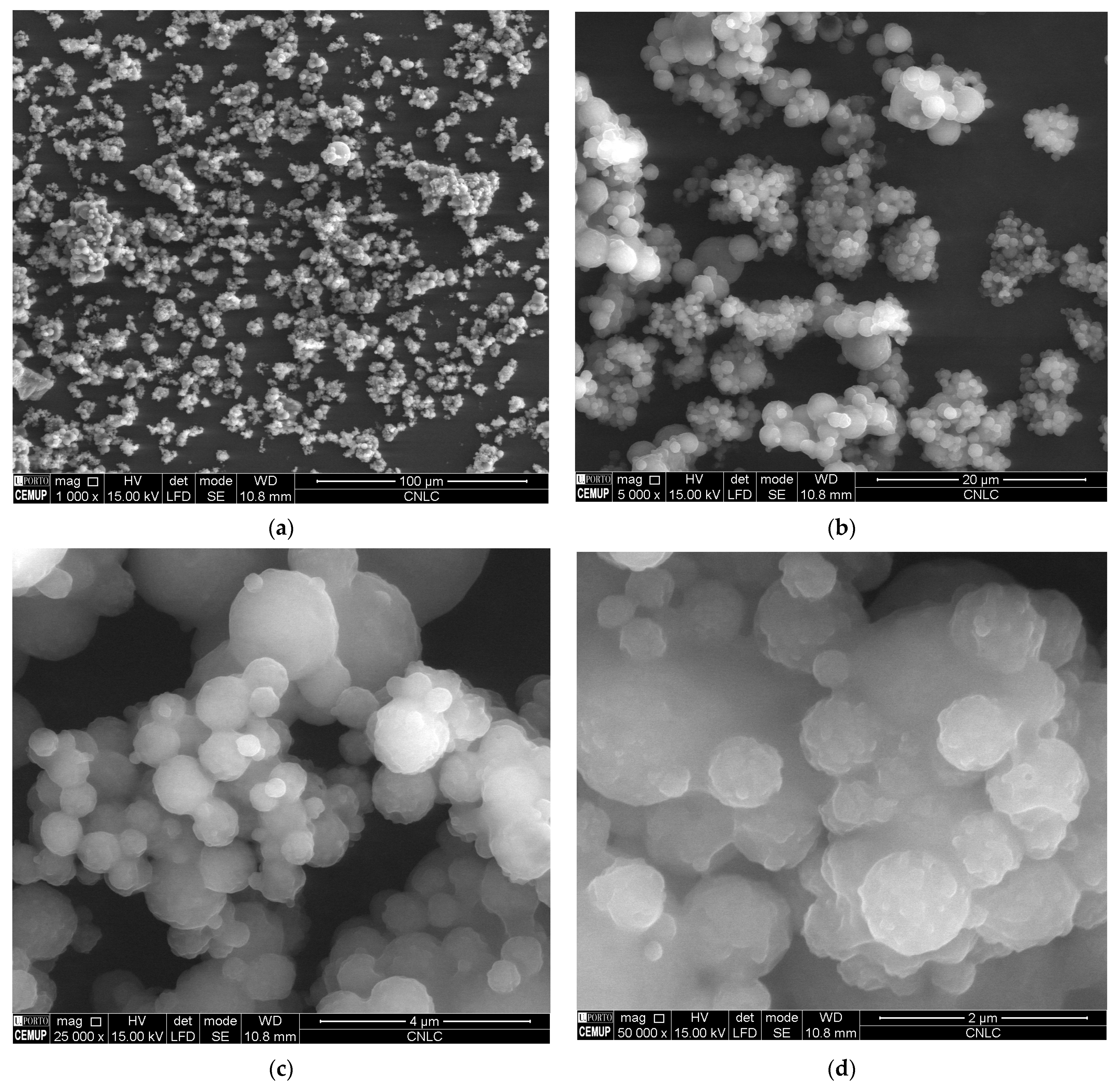 Molecules 28 02875 g008