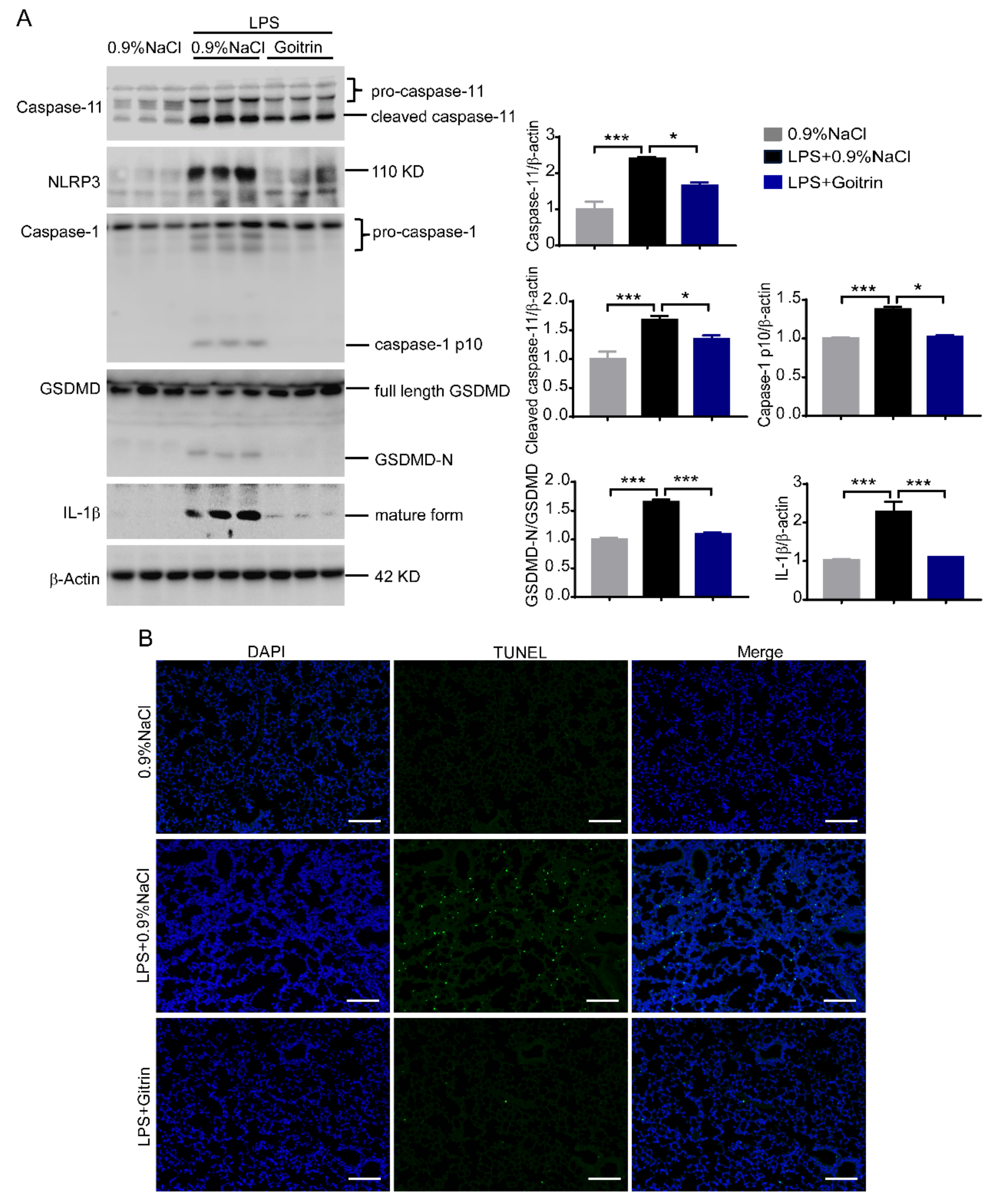 Molecules 28 02883 g007 Molecules 28 02883 g007