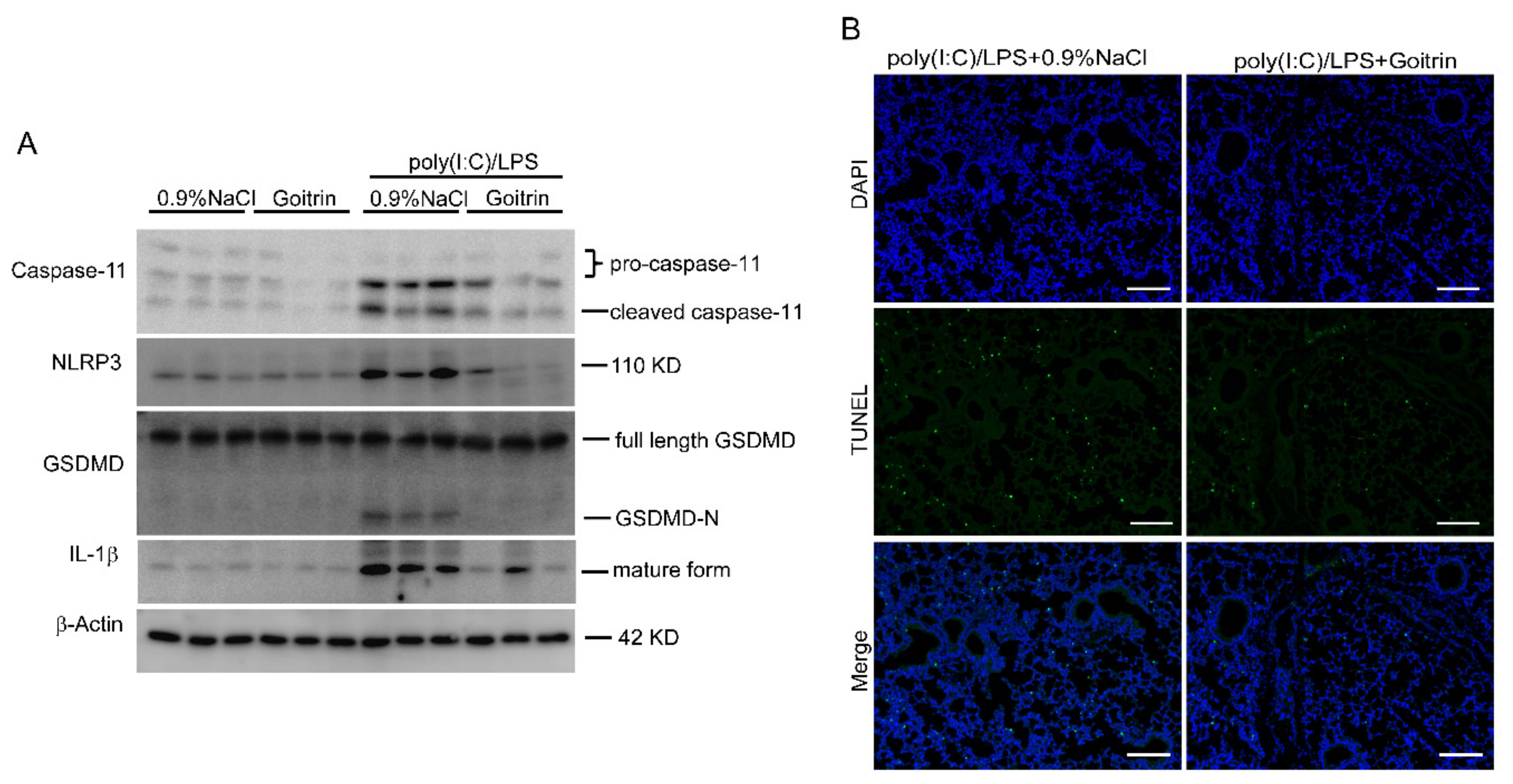 Molecules 28 02883 g009 Molecules 28 02883 g009