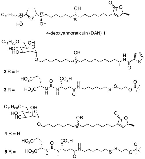 Targeting Carbohydrate Mimetics of Tetrahydrofuran