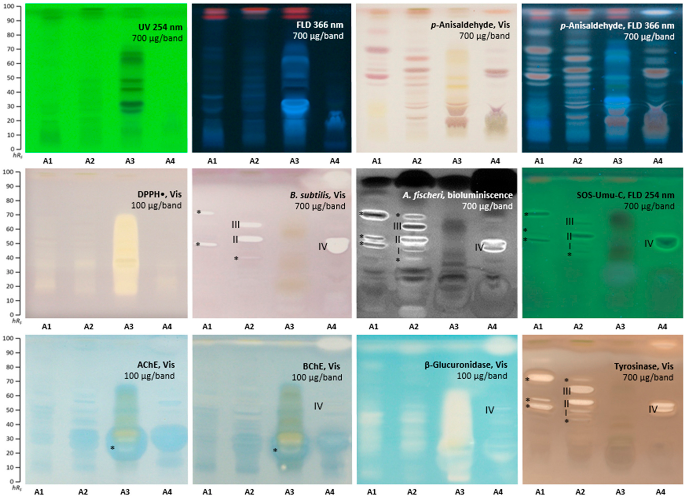 Molecules 28 02893 g001