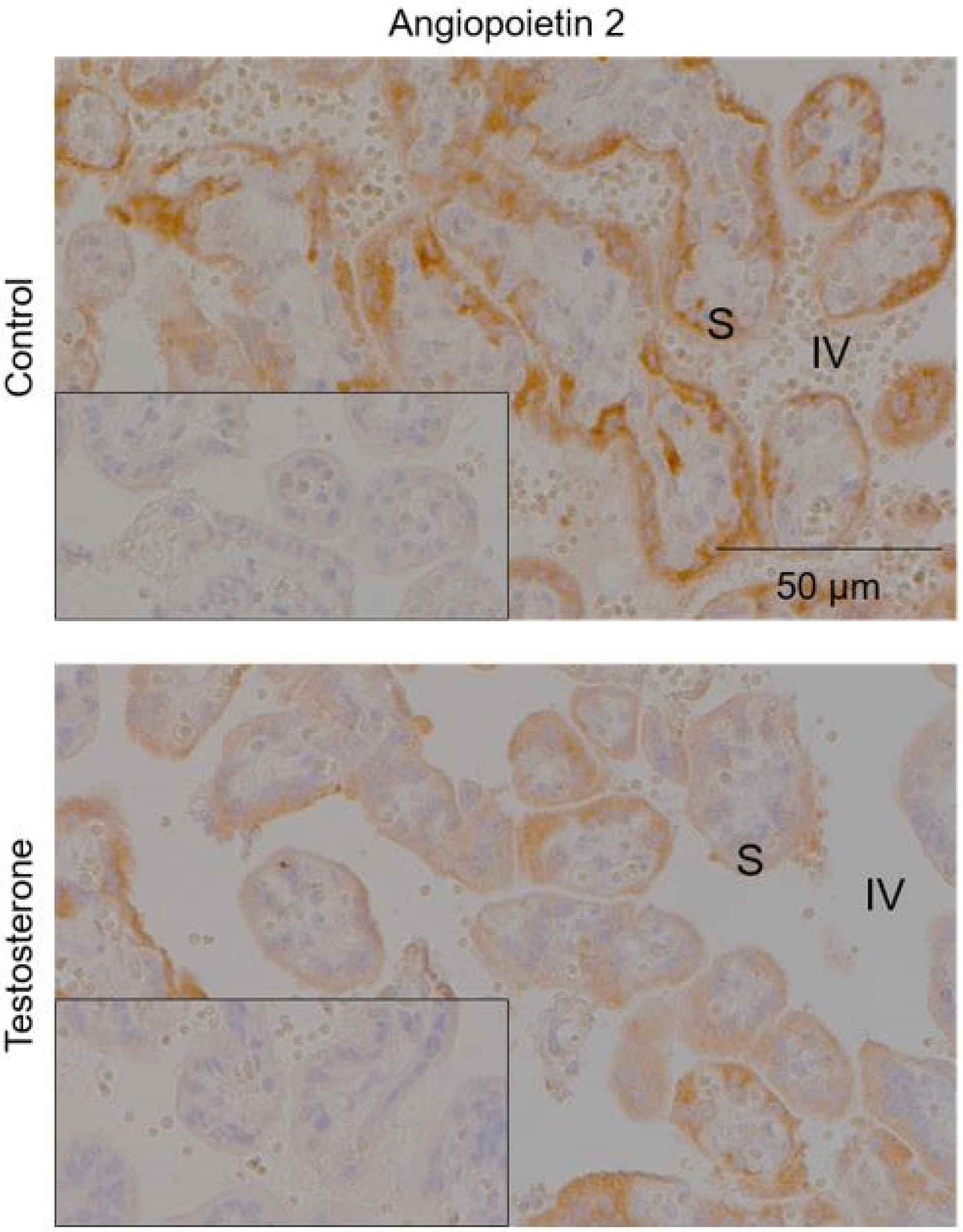 Molecules 28 02894 g004