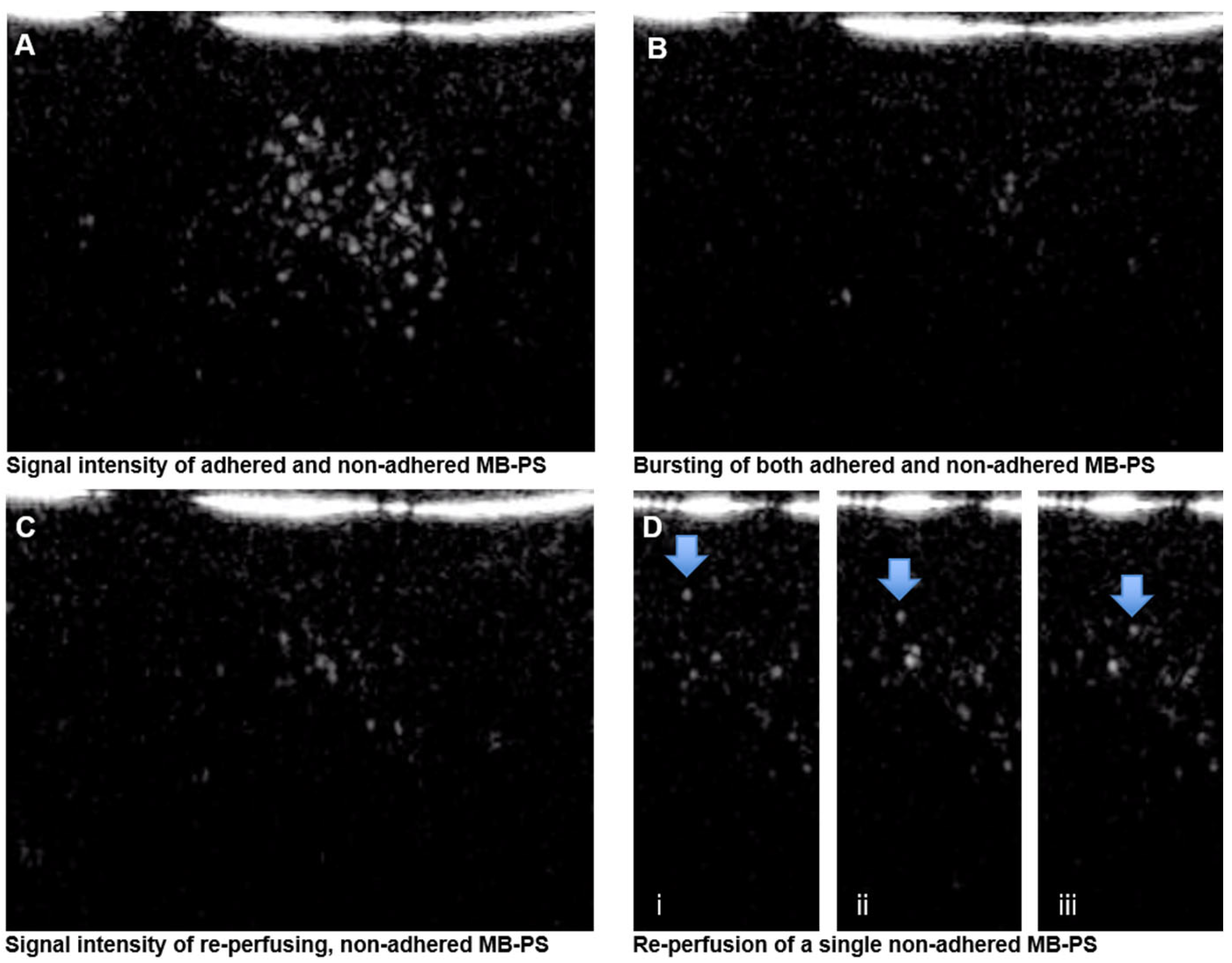 Molecules 28 02894 g006