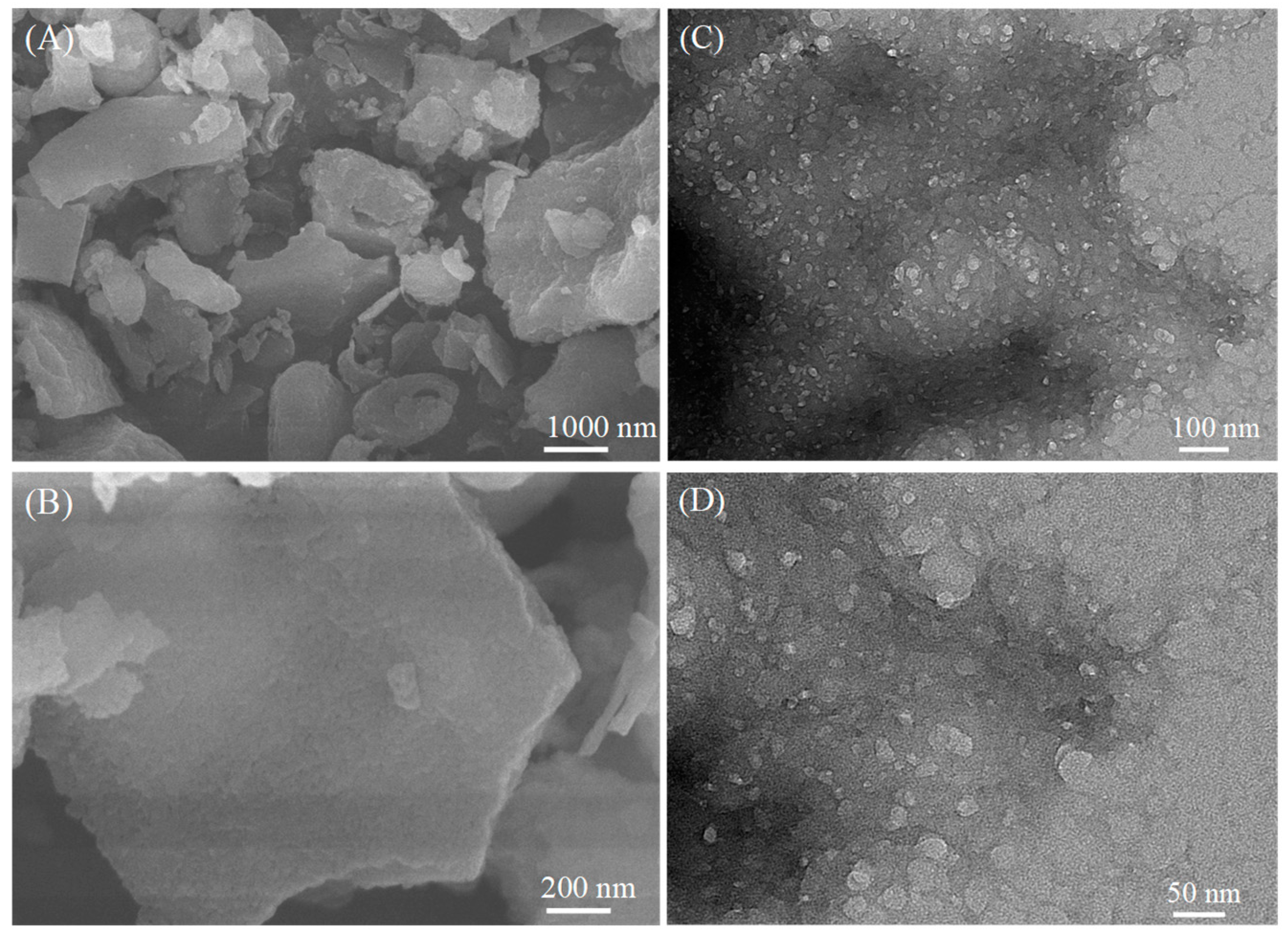 Molecules 28 02897 g001