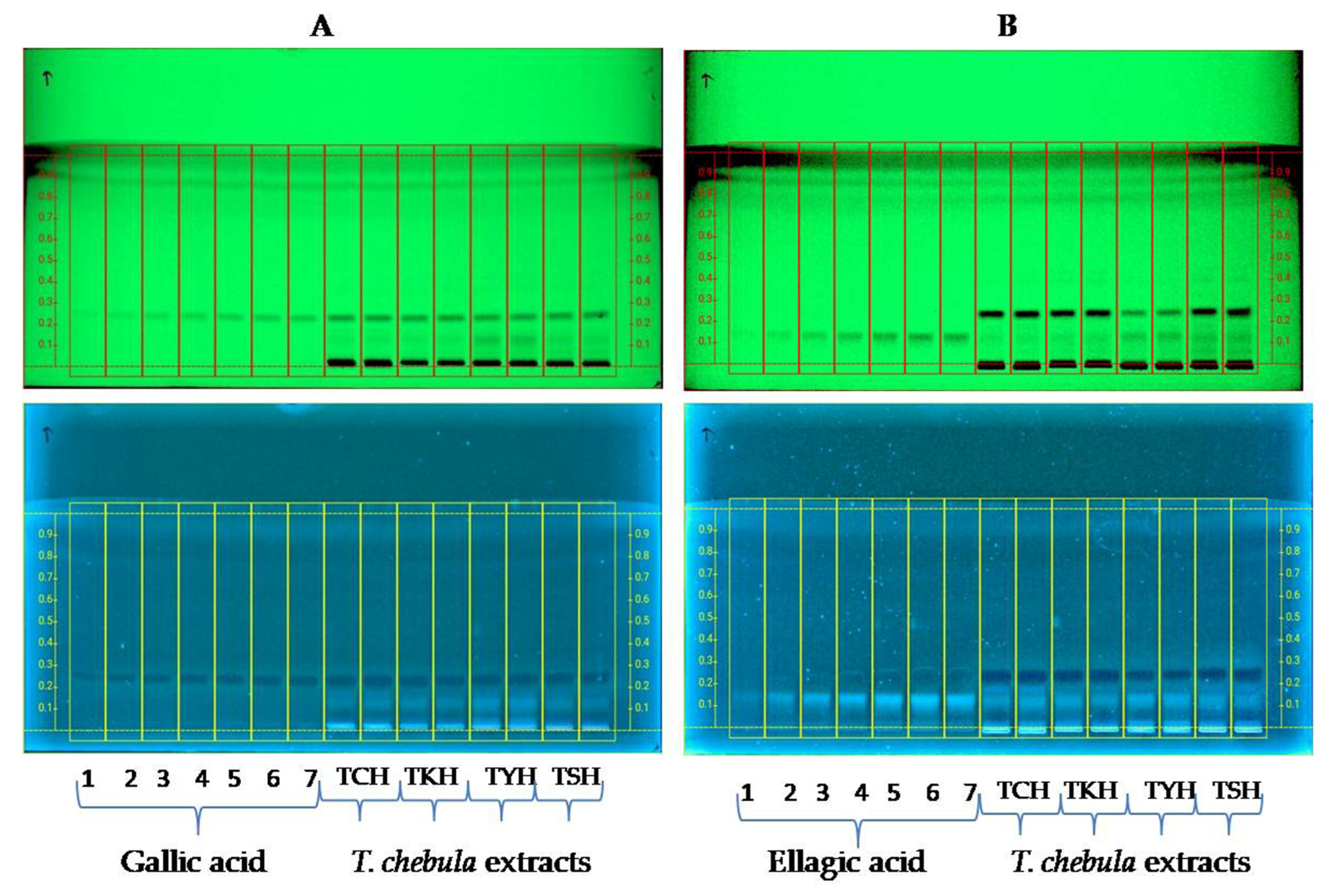 Molecules 28 02901 g001 Molecules 28 02901 g001