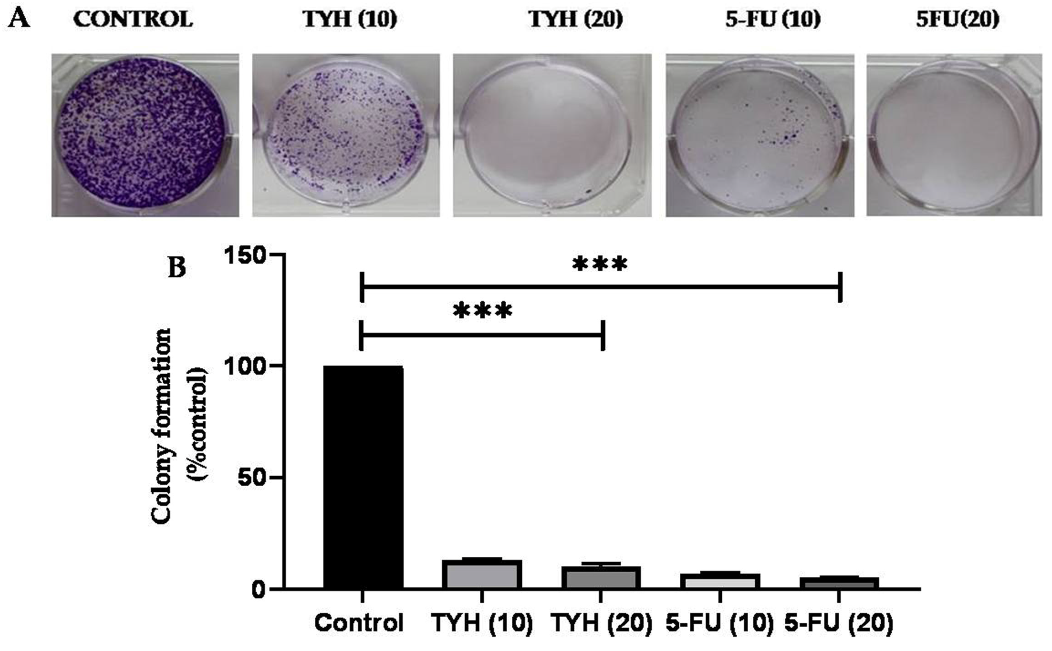 Molecules 28 02901 g004 Molecules 28 02901 g004