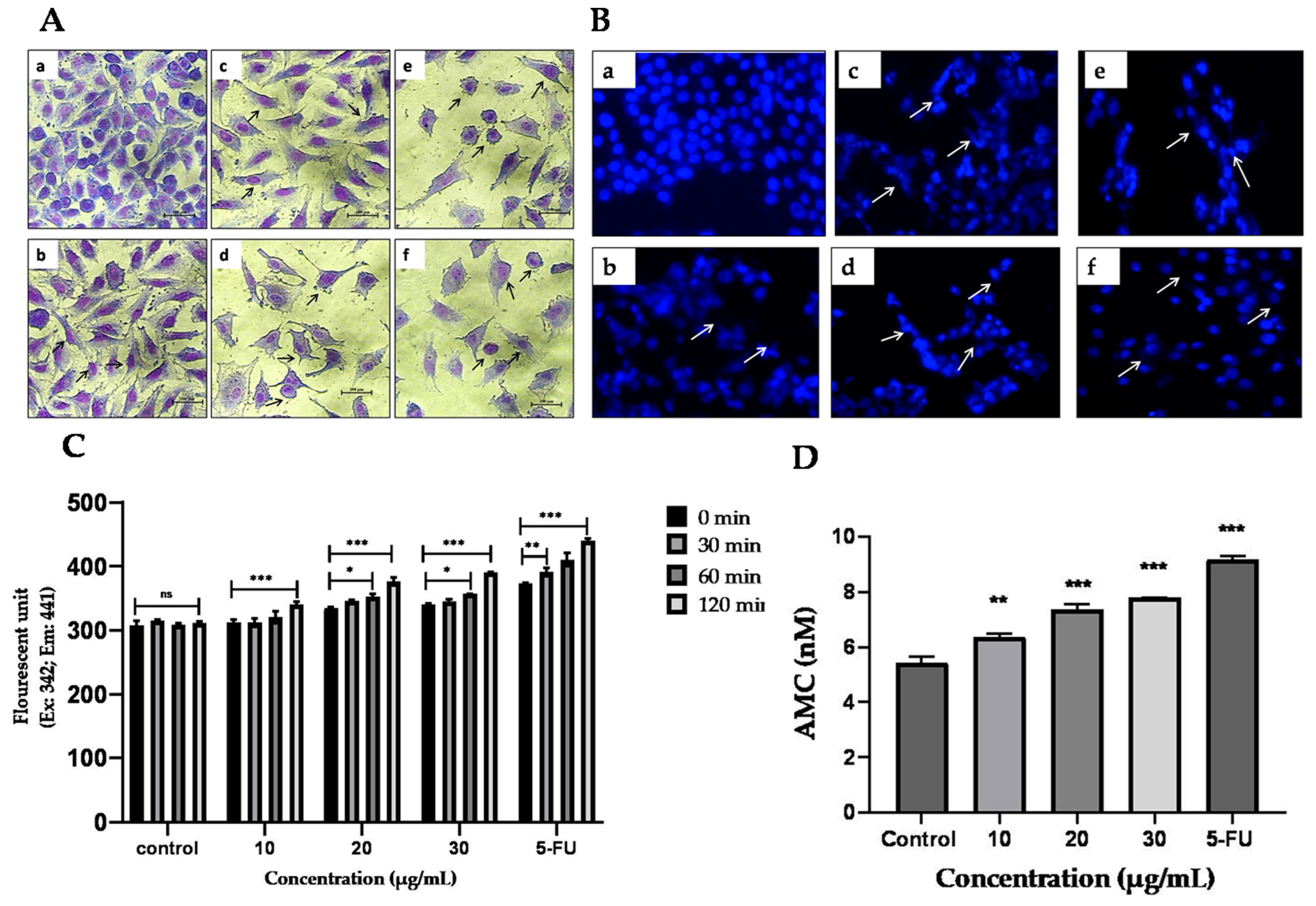 Molecules 28 02901 g007 Molecules 28 02901 g007
