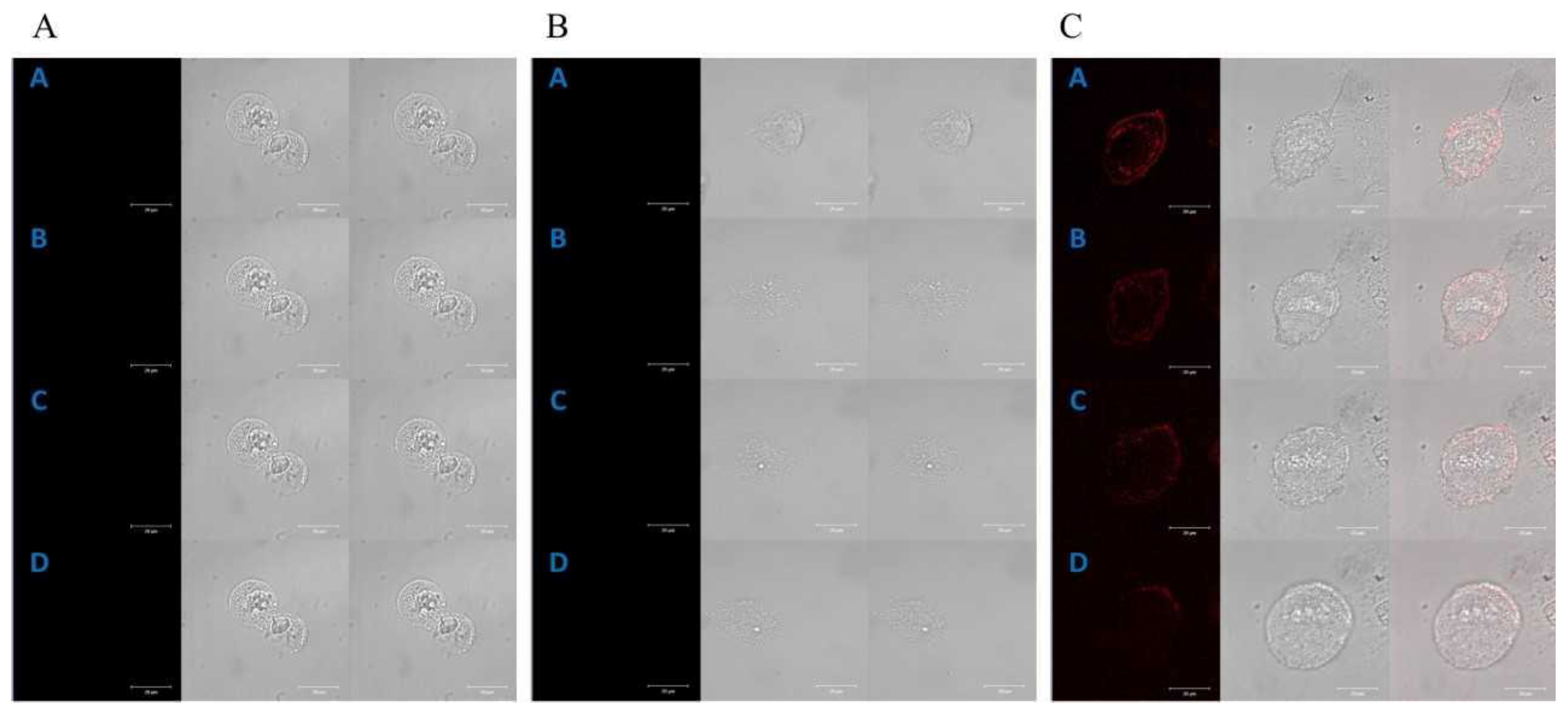 Molecules 28 02907 g002
