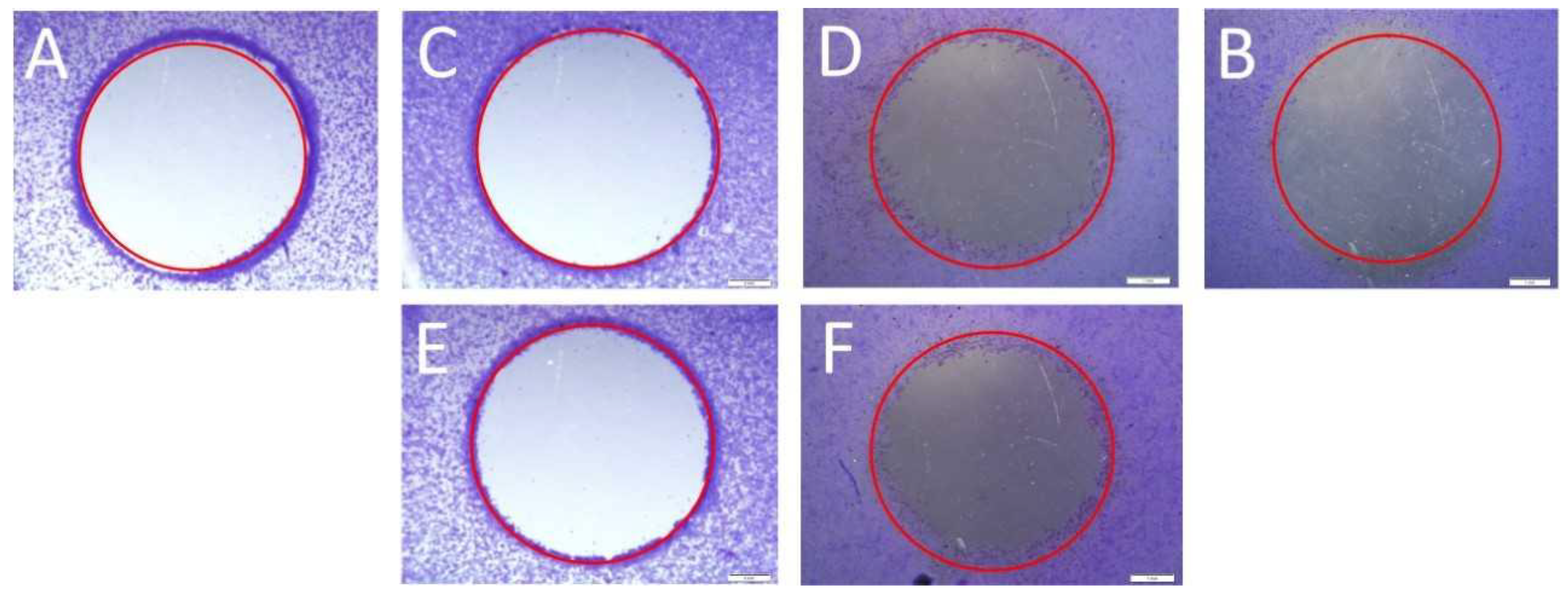 Molecules 28 02907 g005