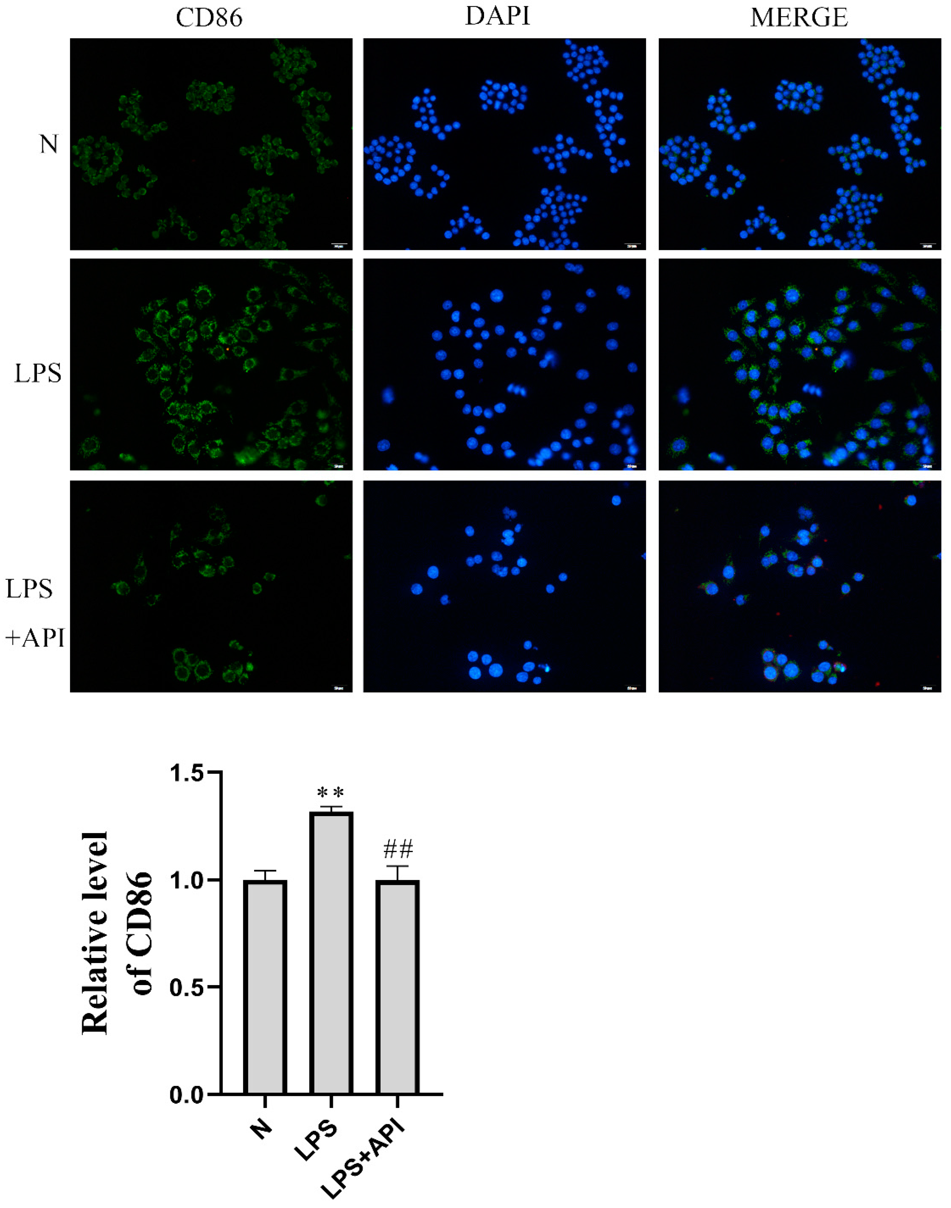 Molecules 28 02915 g004 Molecules 28 02915 g004