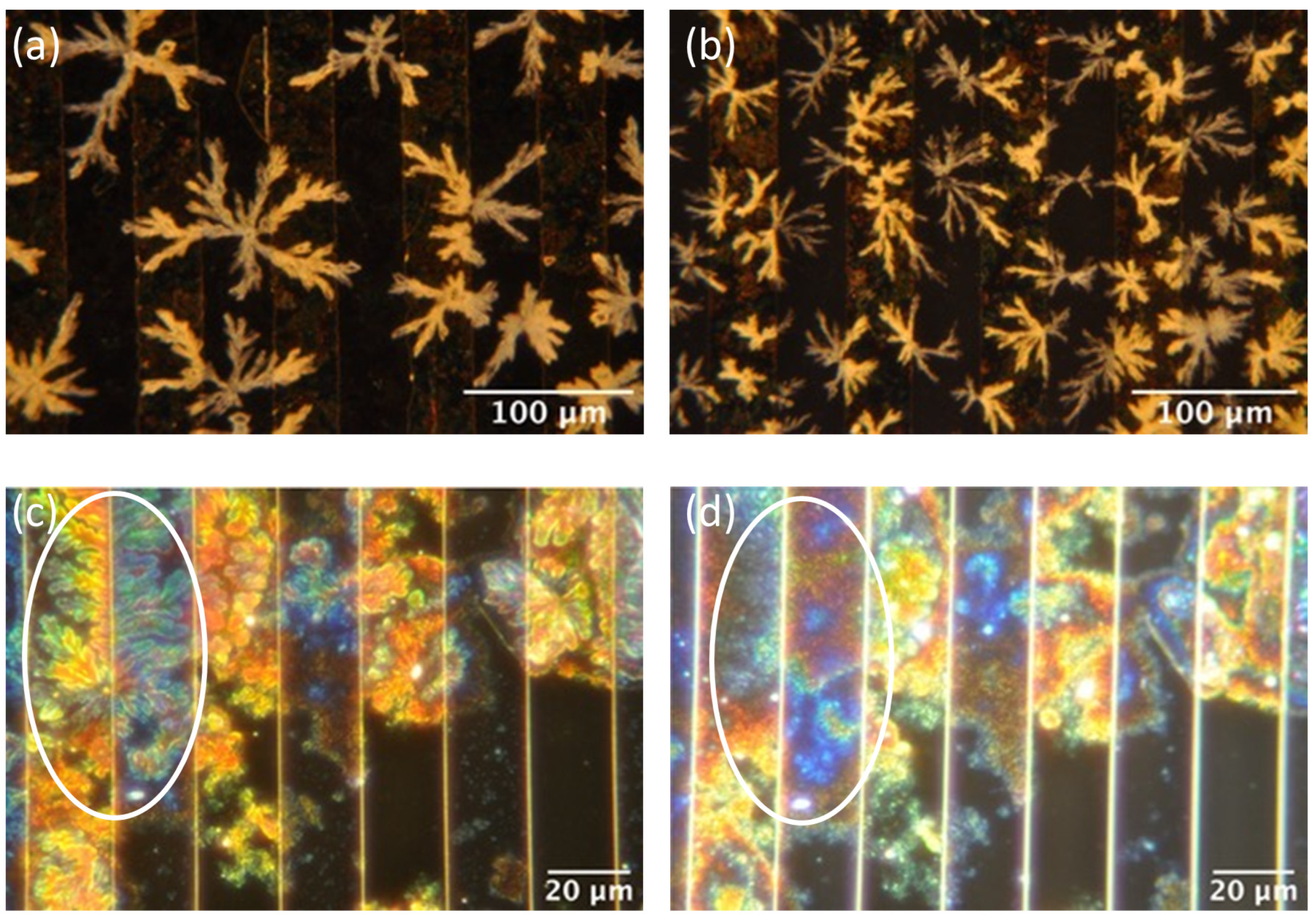 Molecules 28 02917 g005 Molecules 28 02917 g005