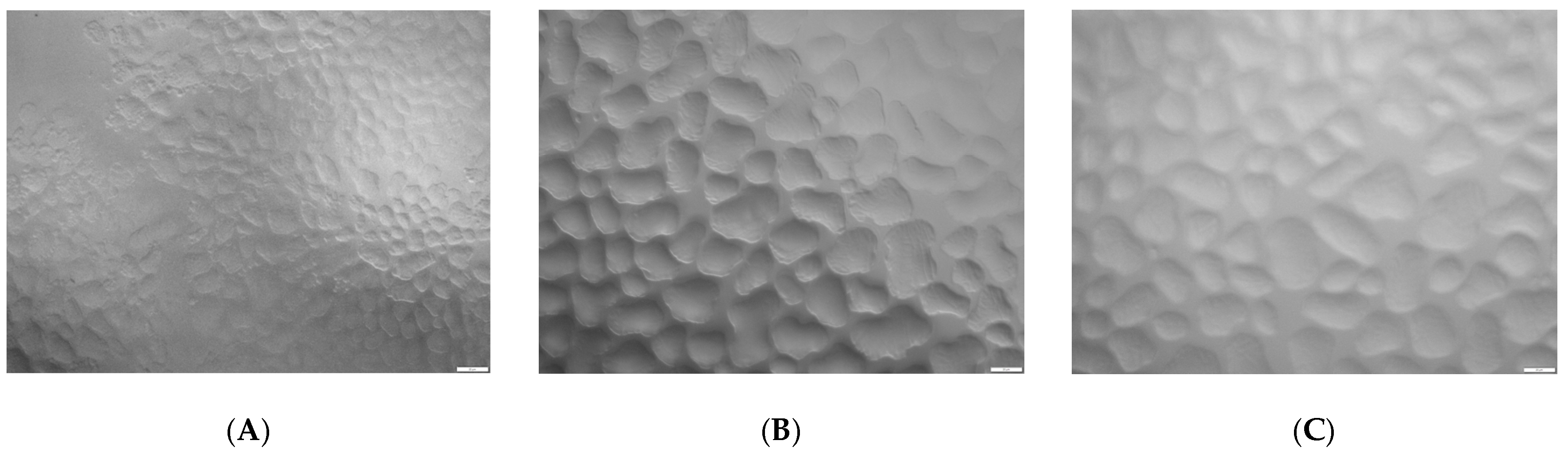 Molecules 28 02924 g006a Molecules 28 02924 g006a