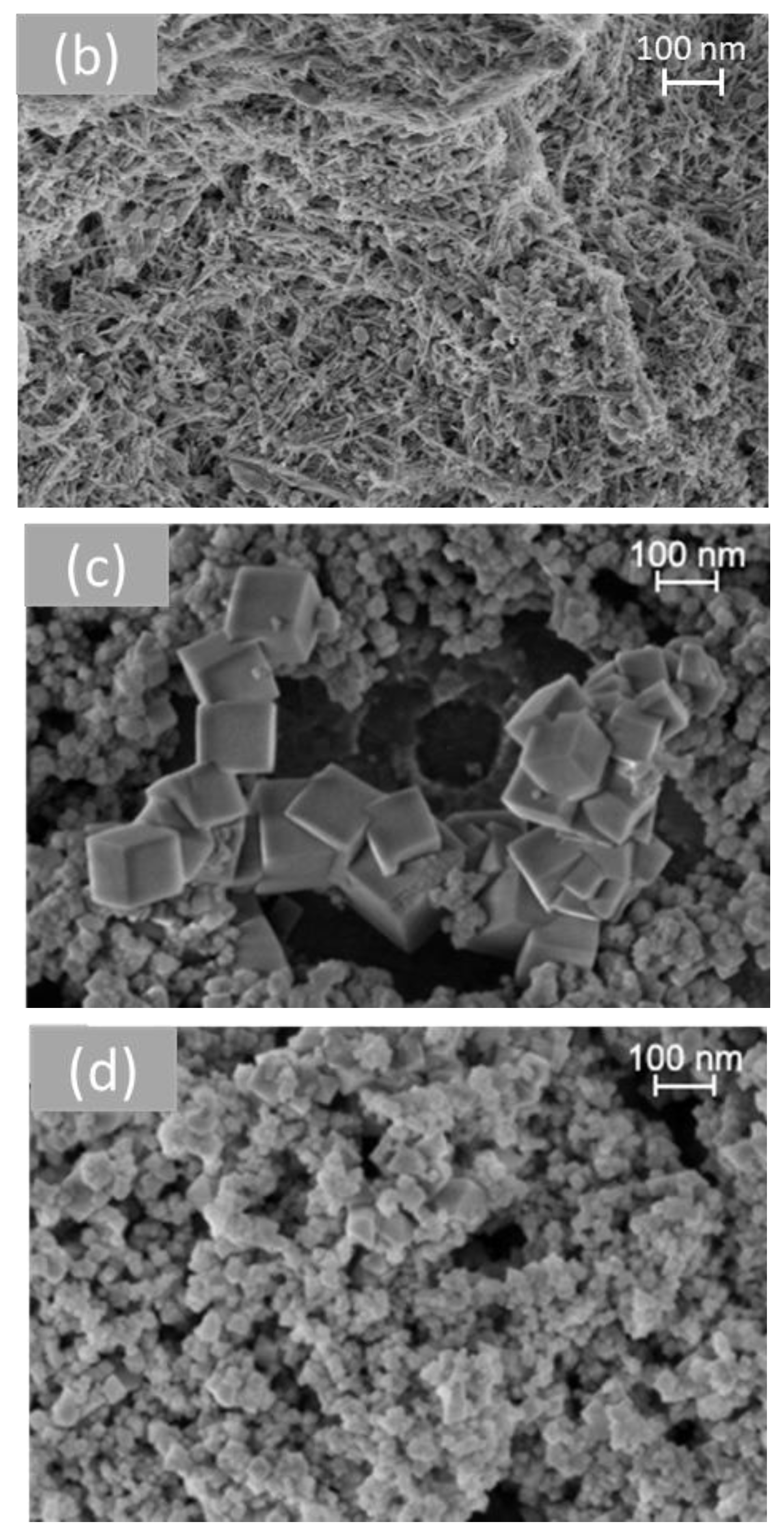 Molecules 28 02926 g006b Molecules 28 02926 g006b