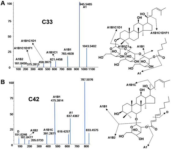 Discrepancy Study of the Chemical Constituents of Panax