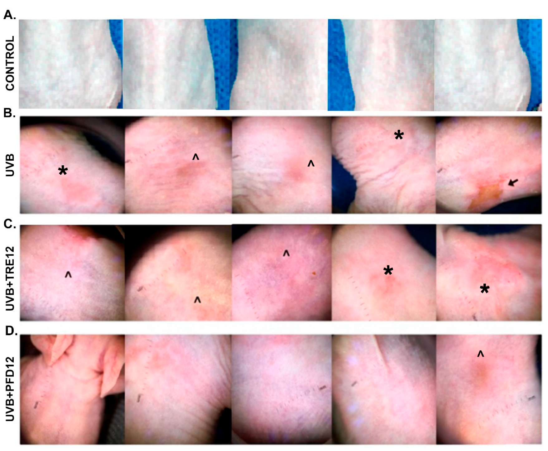 Molecules 28 02929 g002