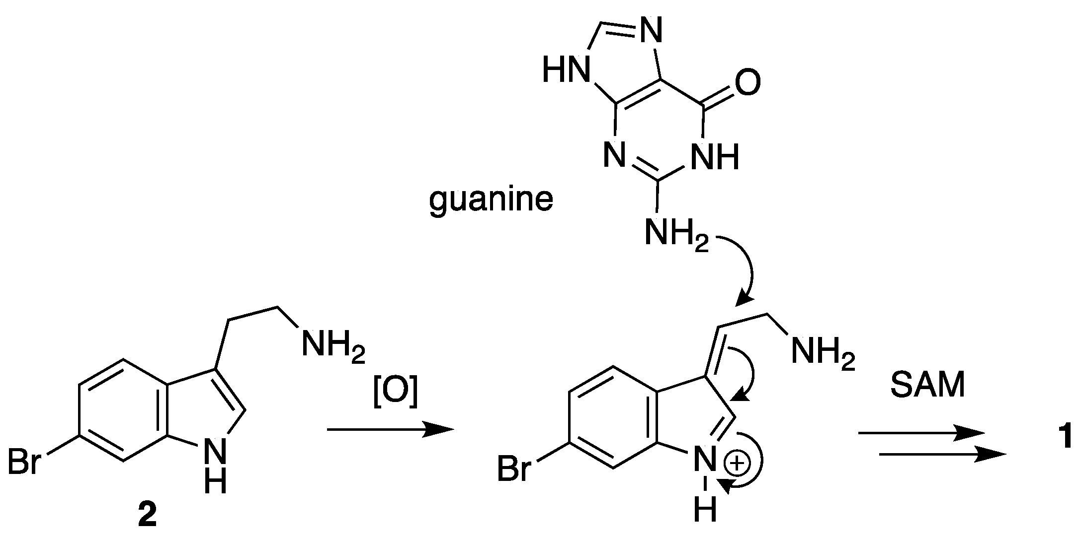 Molecules 28 02937 g004