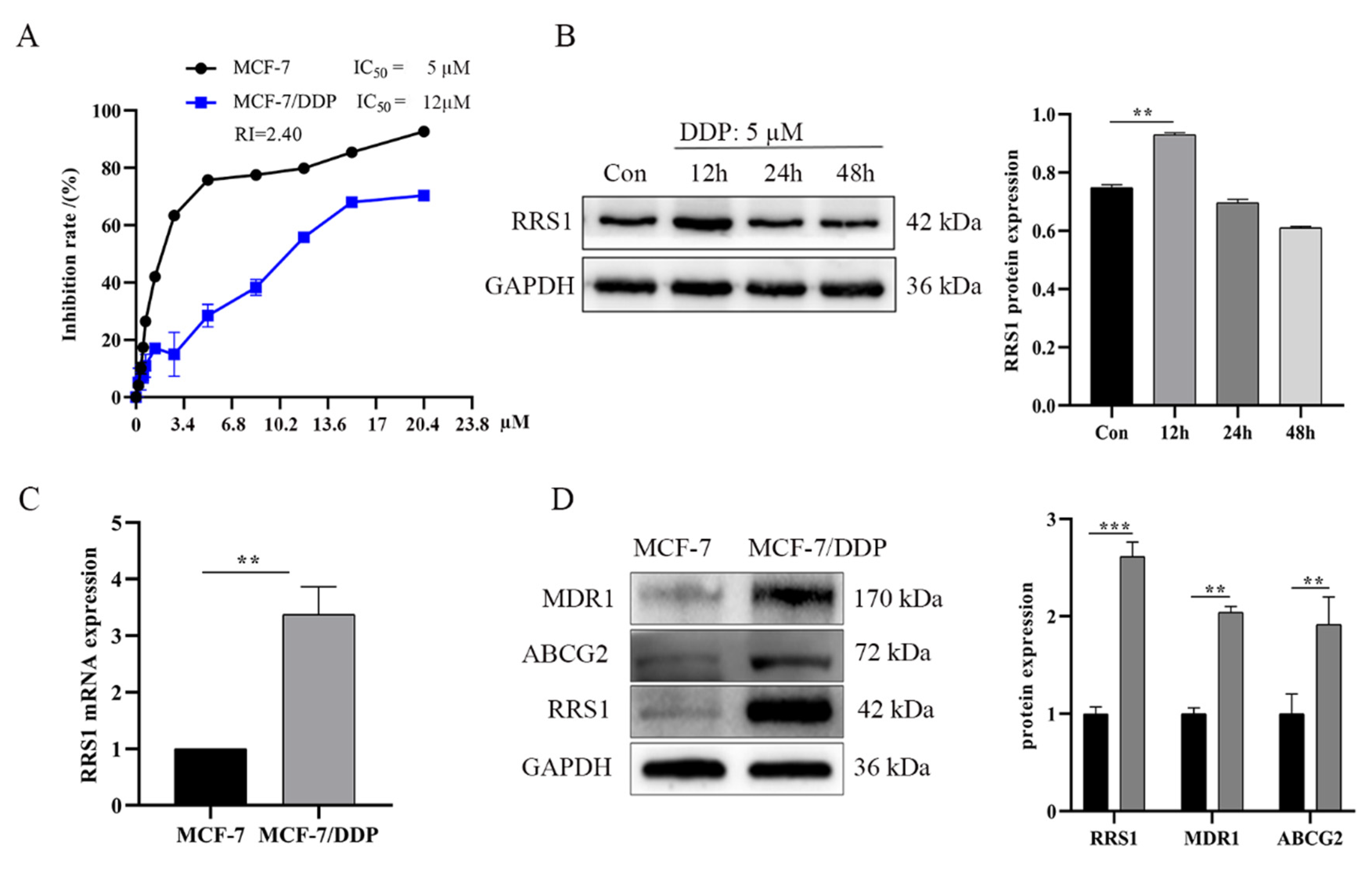 Molecules 28 02939 g001 Molecules 28 02939 g001