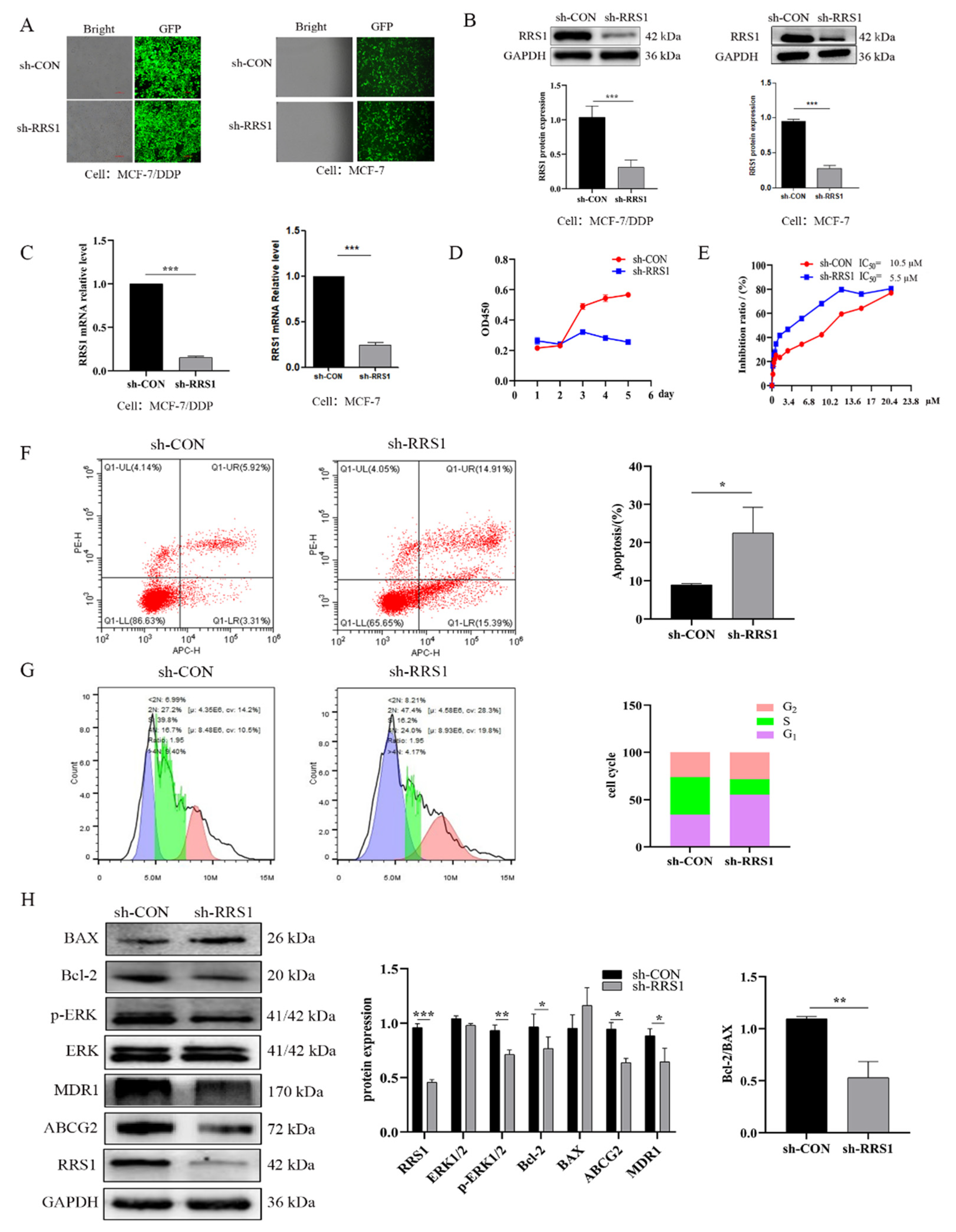 Molecules 28 02939 g002 Molecules 28 02939 g002