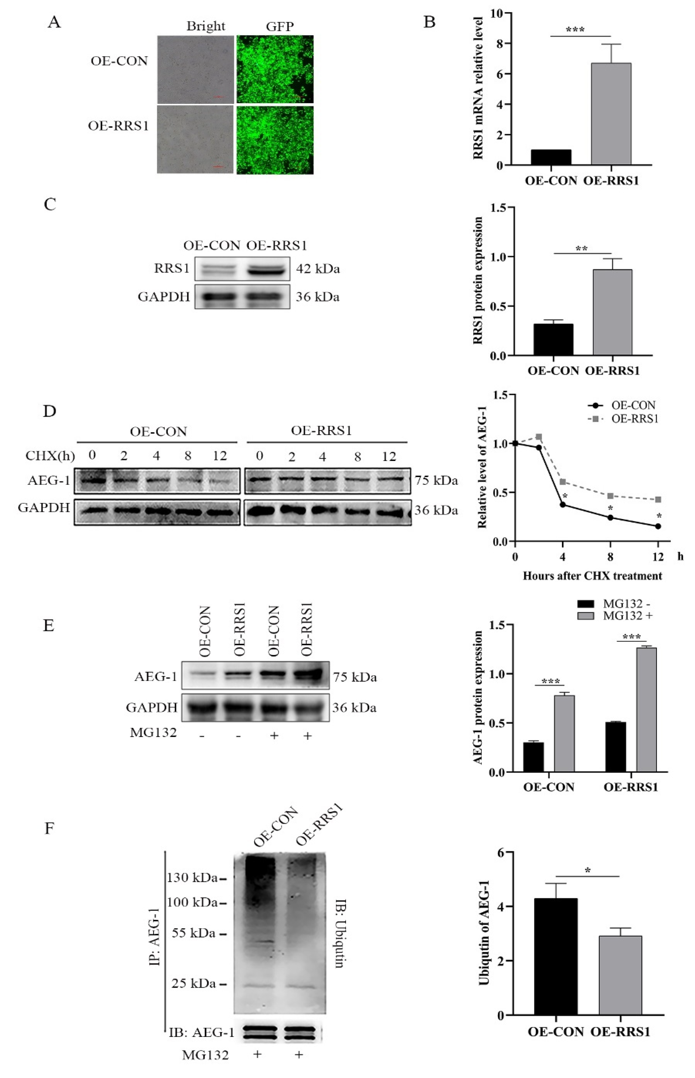 Molecules 28 02939 g004 Molecules 28 02939 g004