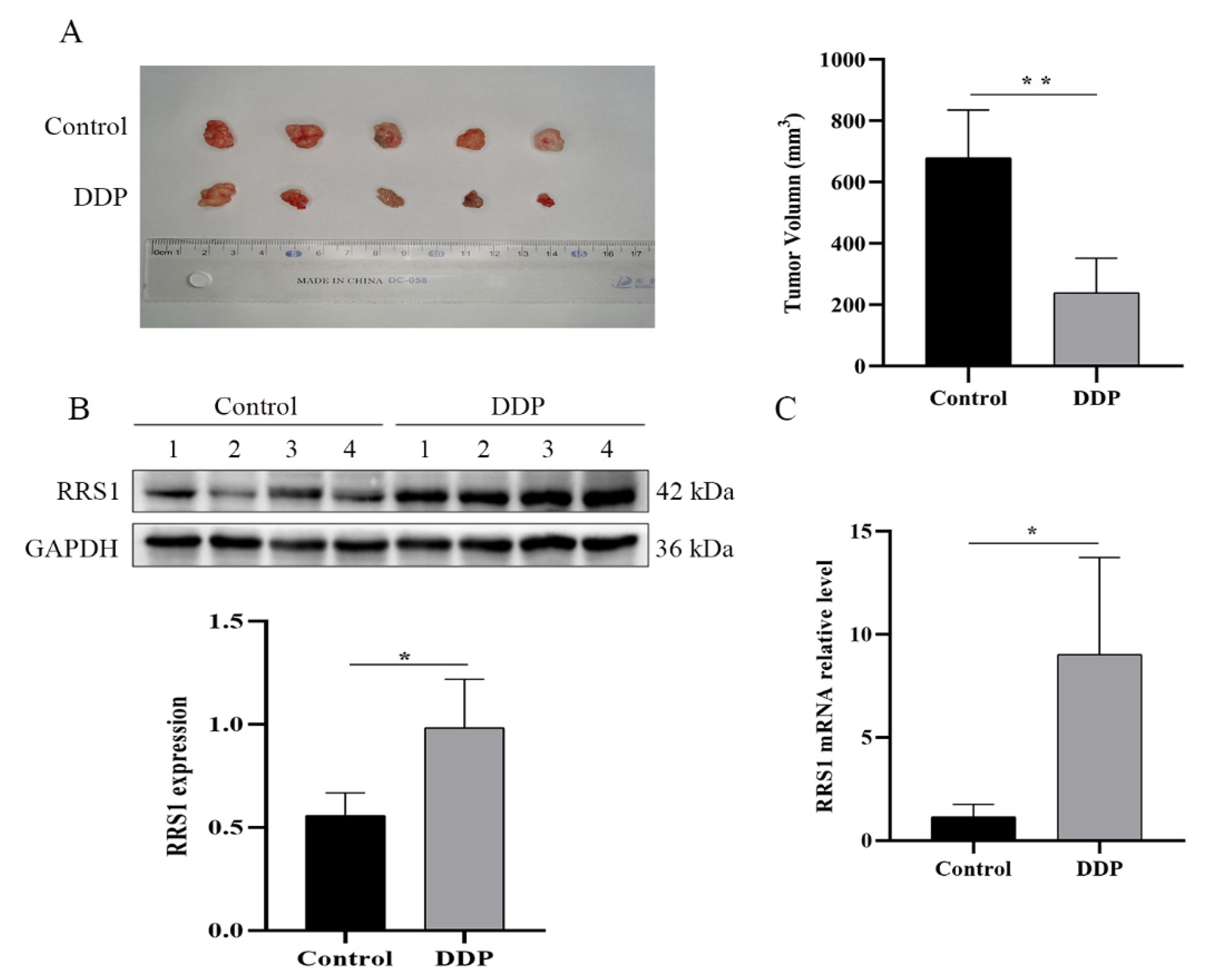 Molecules 28 02939 g005 Molecules 28 02939 g005