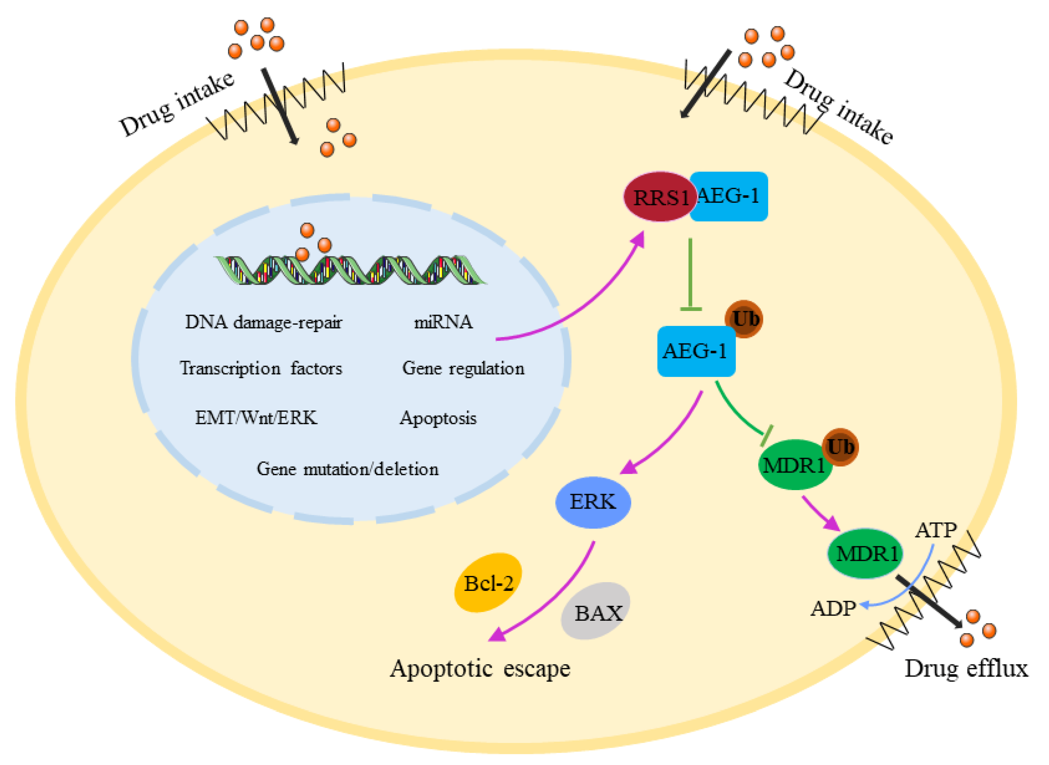 Molecules 28 02939 g006 Molecules 28 02939 g006