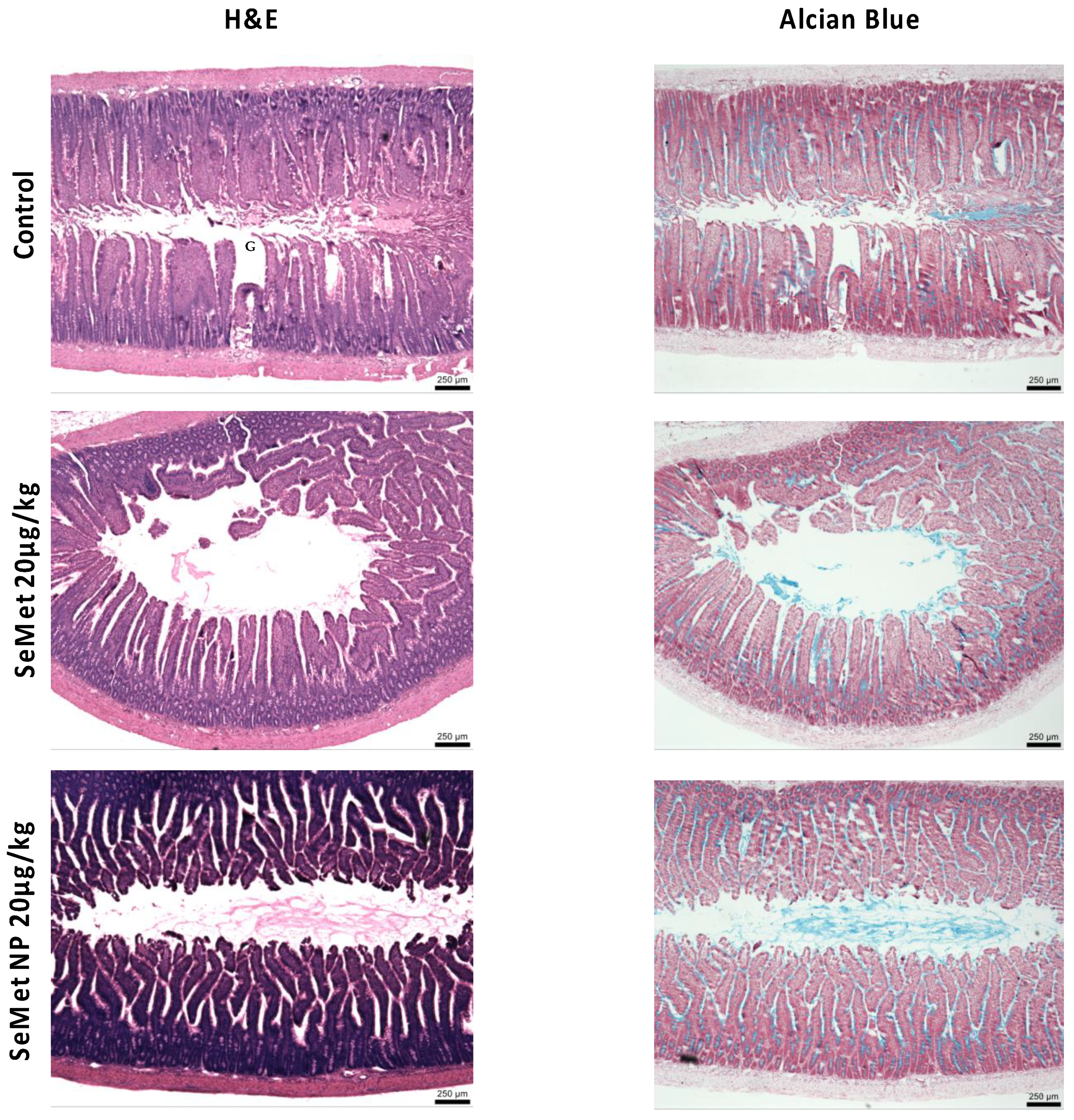 Molecules 28 02941 g007 Molecules 28 02941 g007