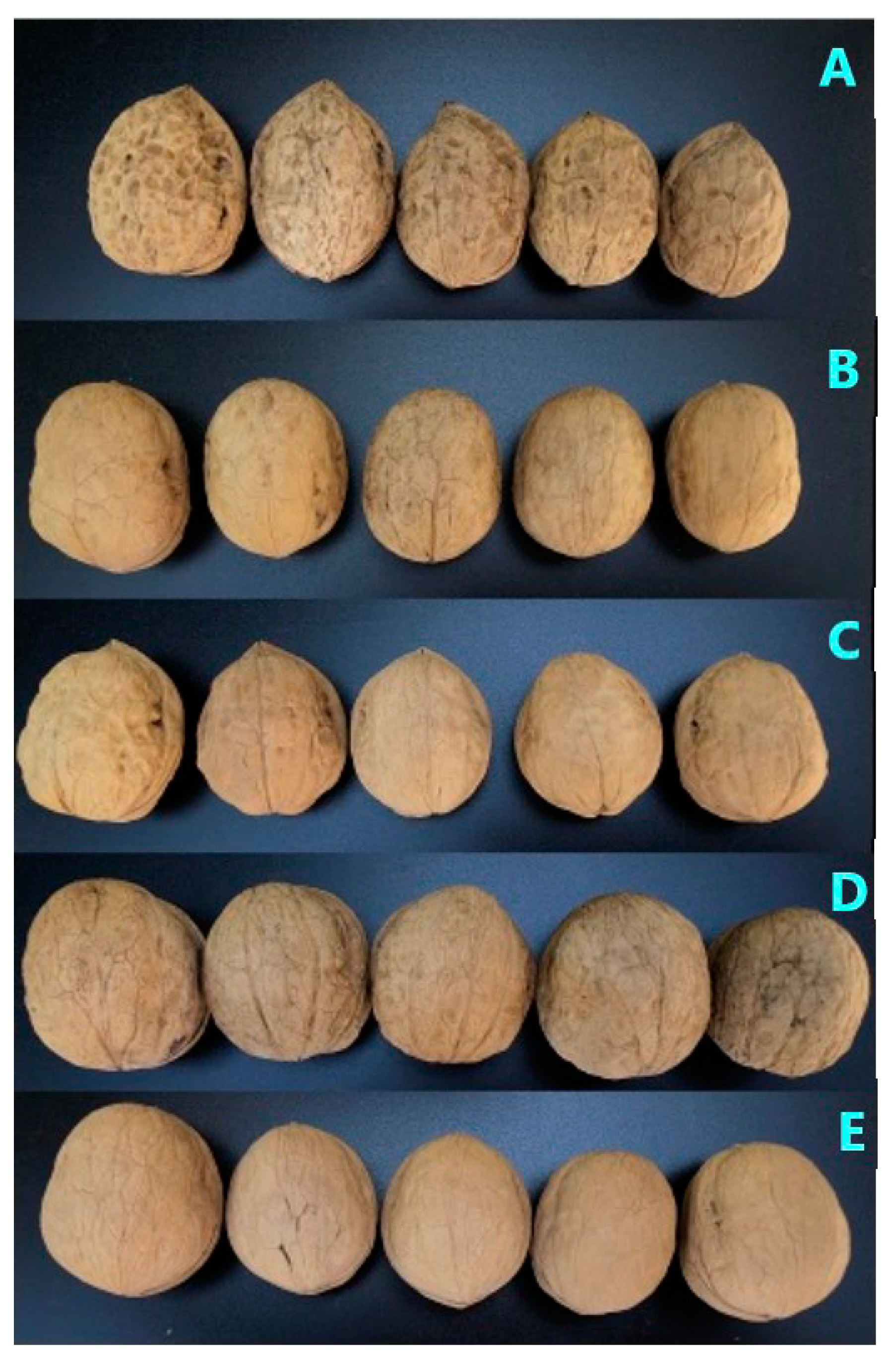 Molecules 28 02949 g006