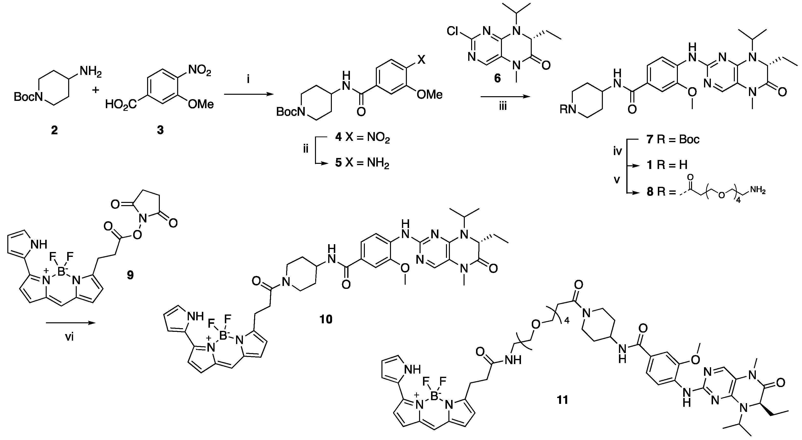 Molecules 28 02950 sch001