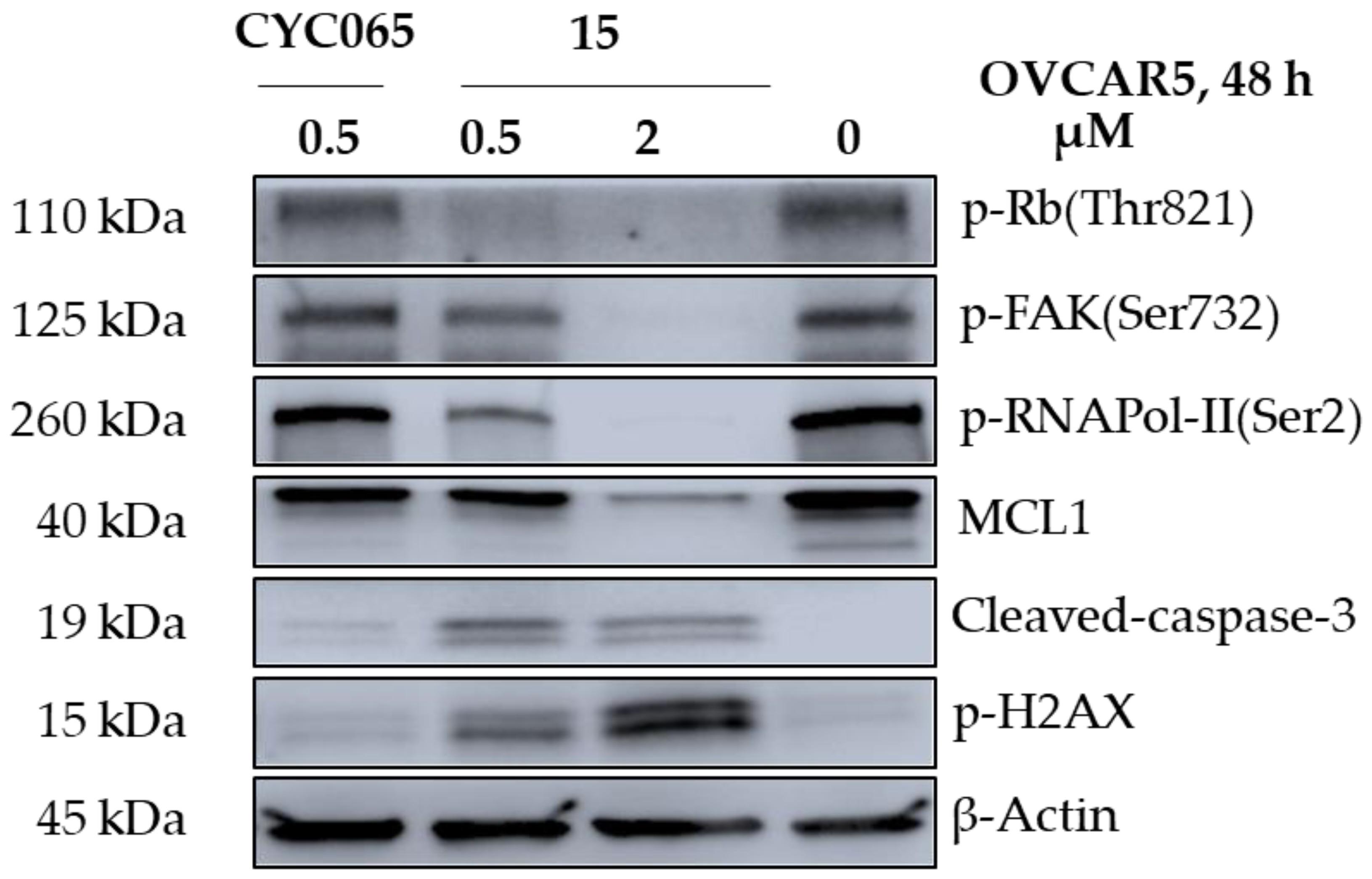 Molecules 28 02951 g007 Molecules 28 02951 g007
