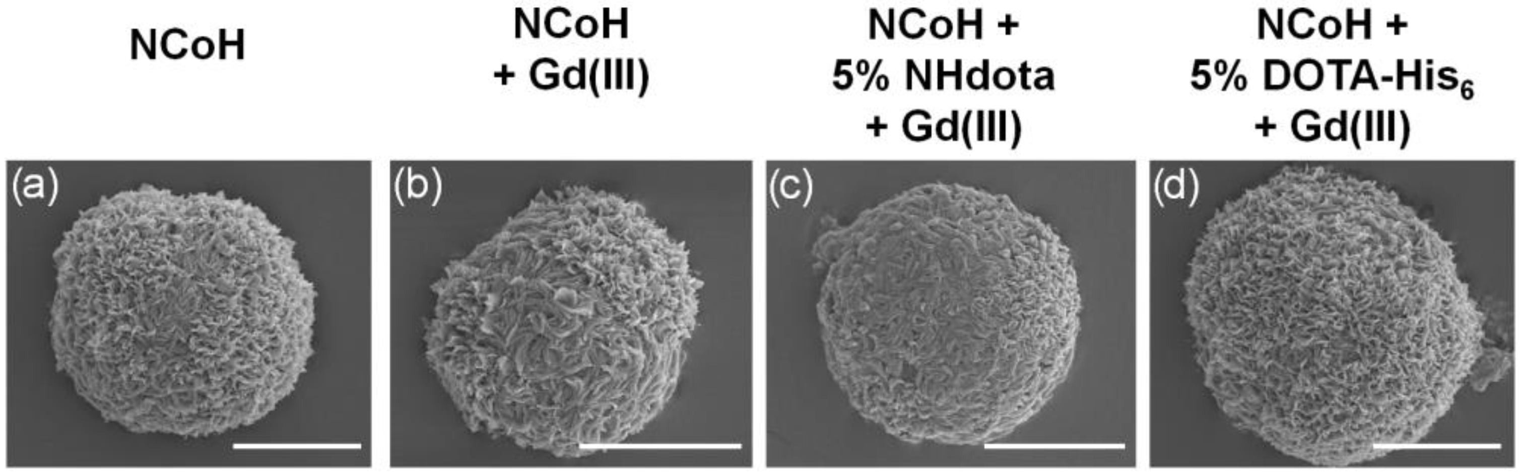 Molecules 28 02953 g003 Molecules 28 02953 g003