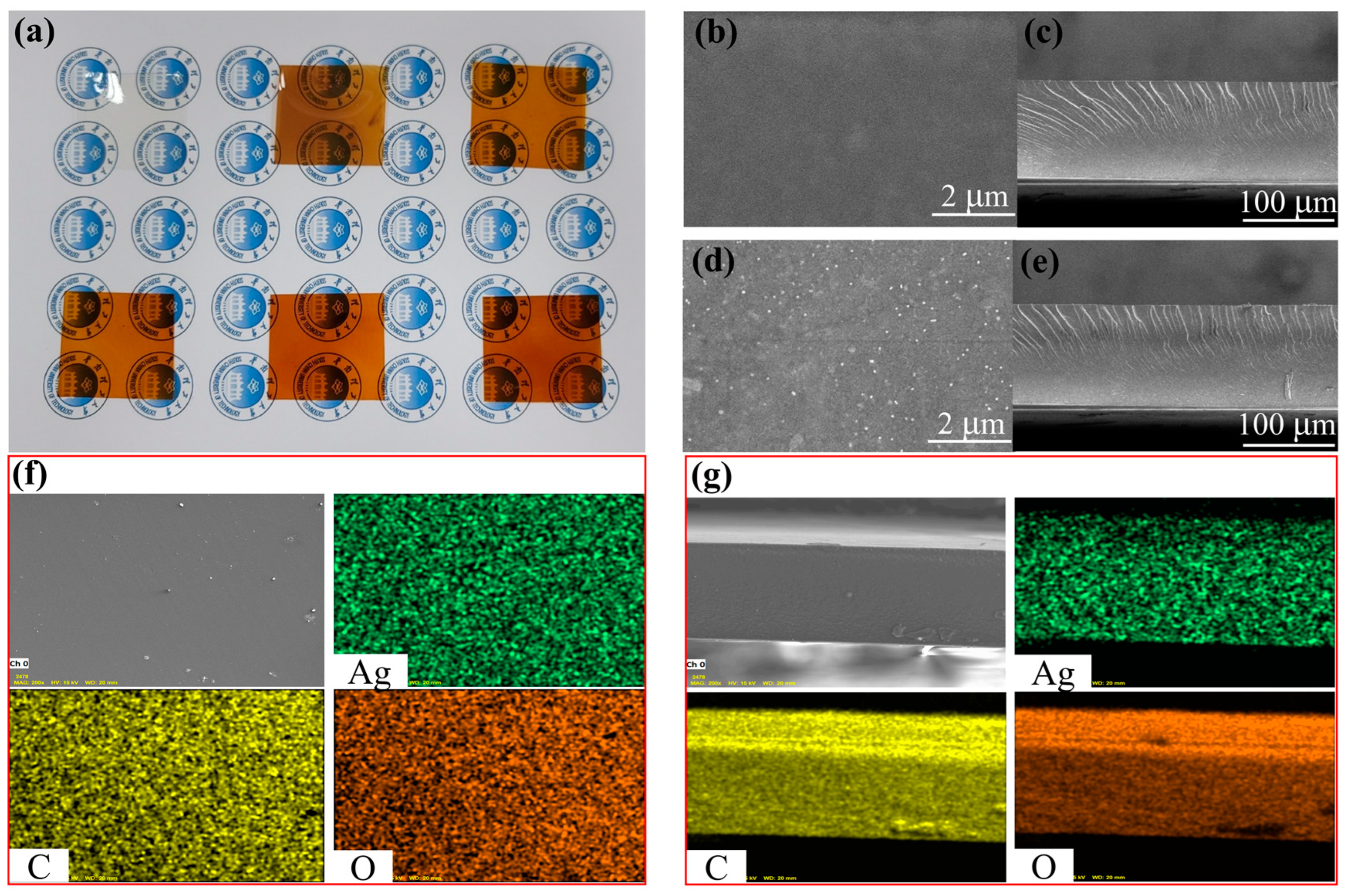 Molecules 28 02956 g006 Molecules 28 02956 g006