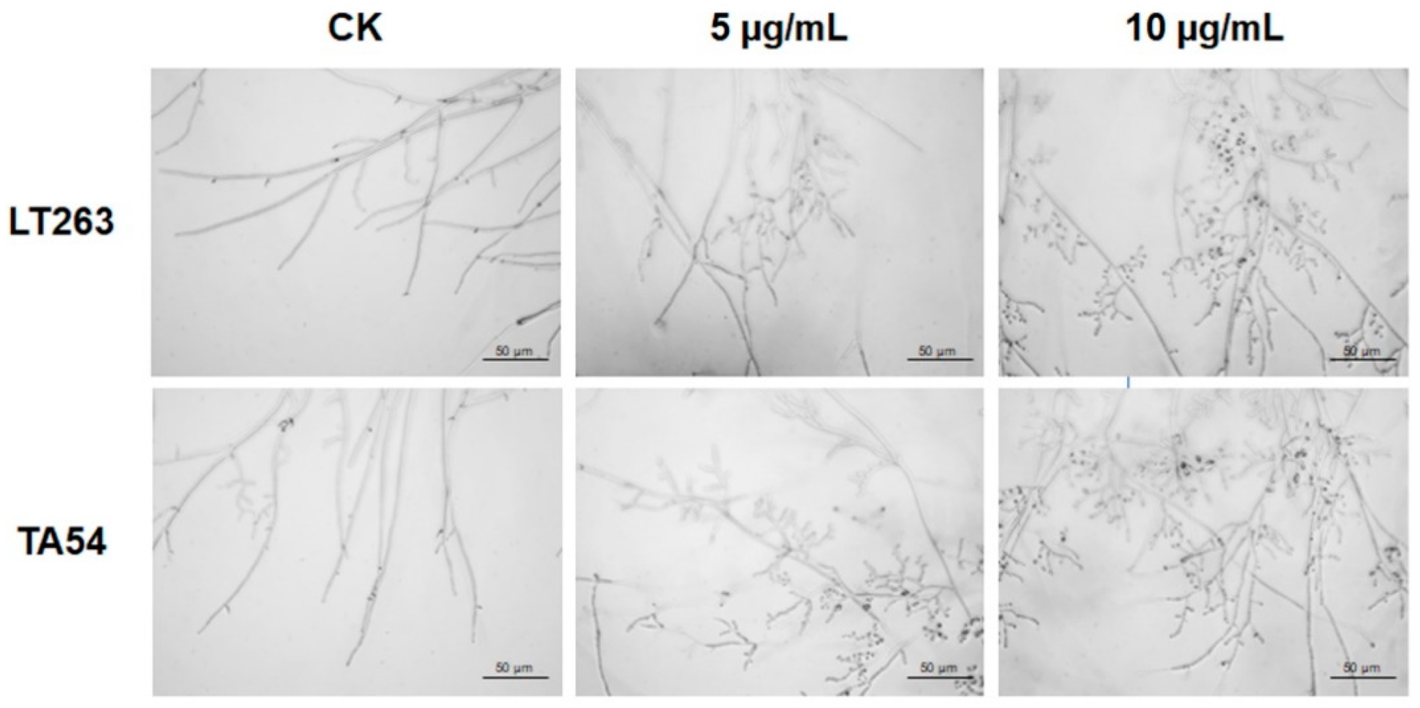 Molecules 28 02958 g002 Molecules 28 02958 g002